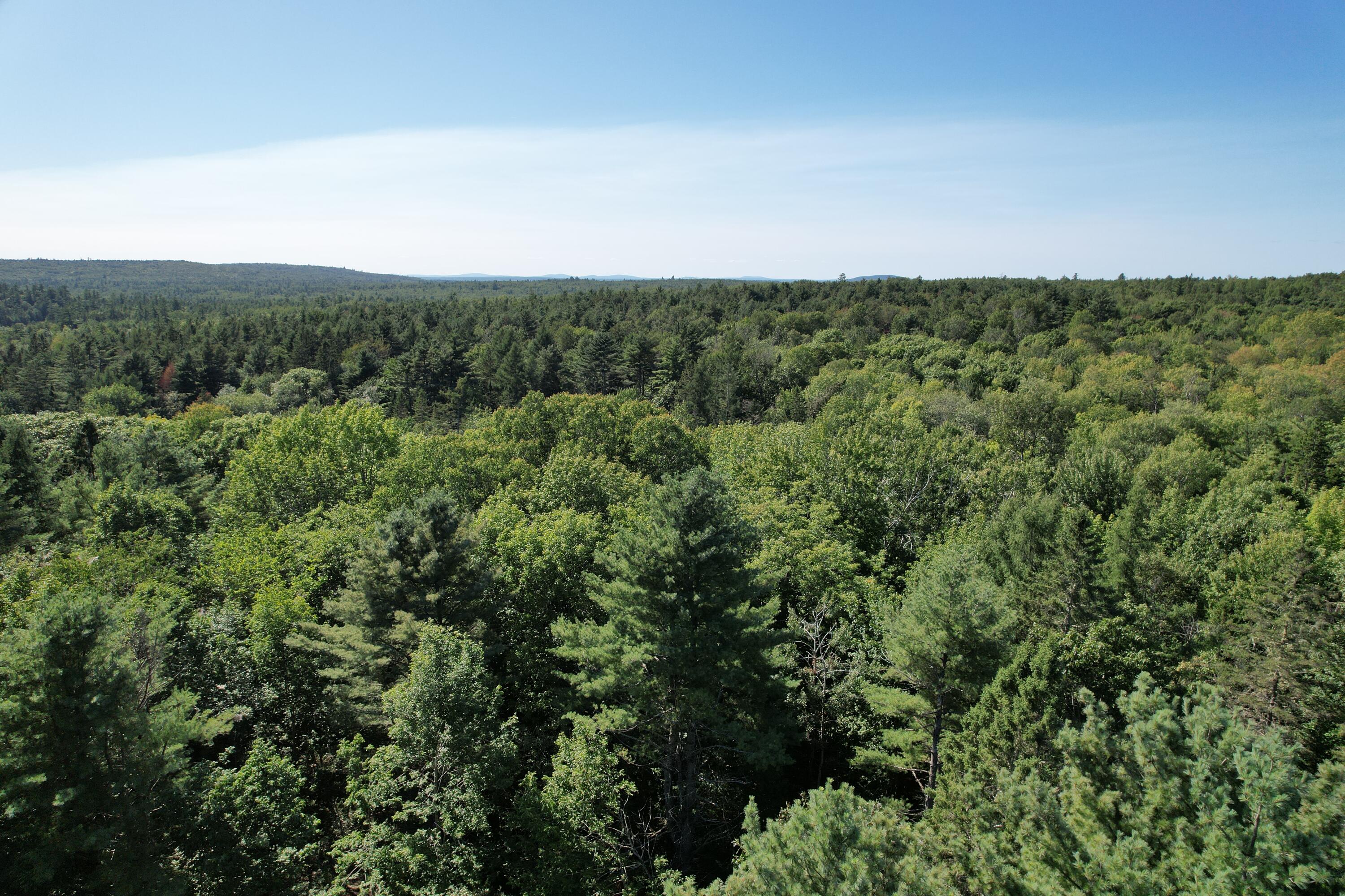 Lot 53 Robb Hill Road Property Photo 22