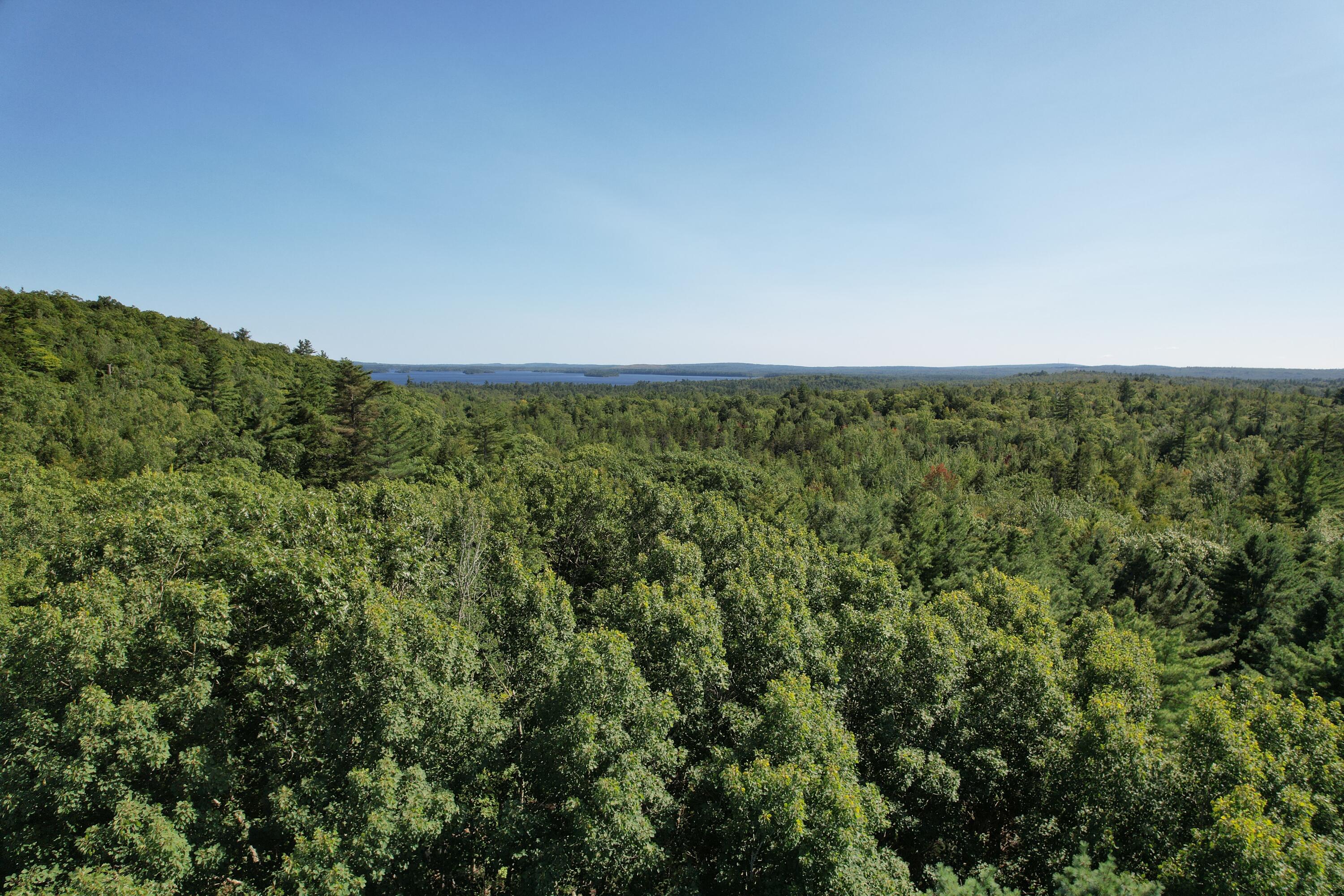 Lot 53 Robb Hill Road Property Photo 23