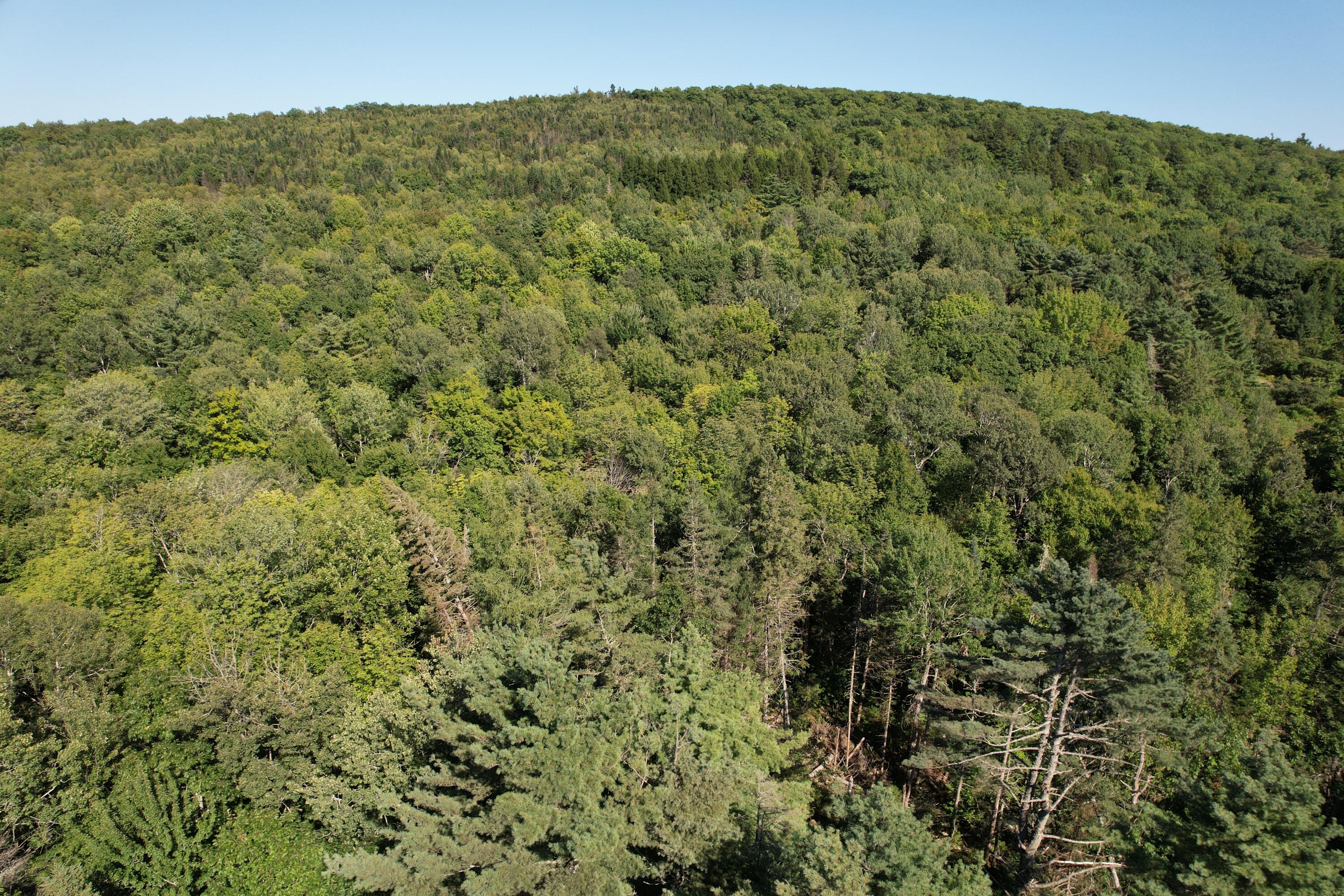 Lot 53 Robb Hill Road Property Photo 24
