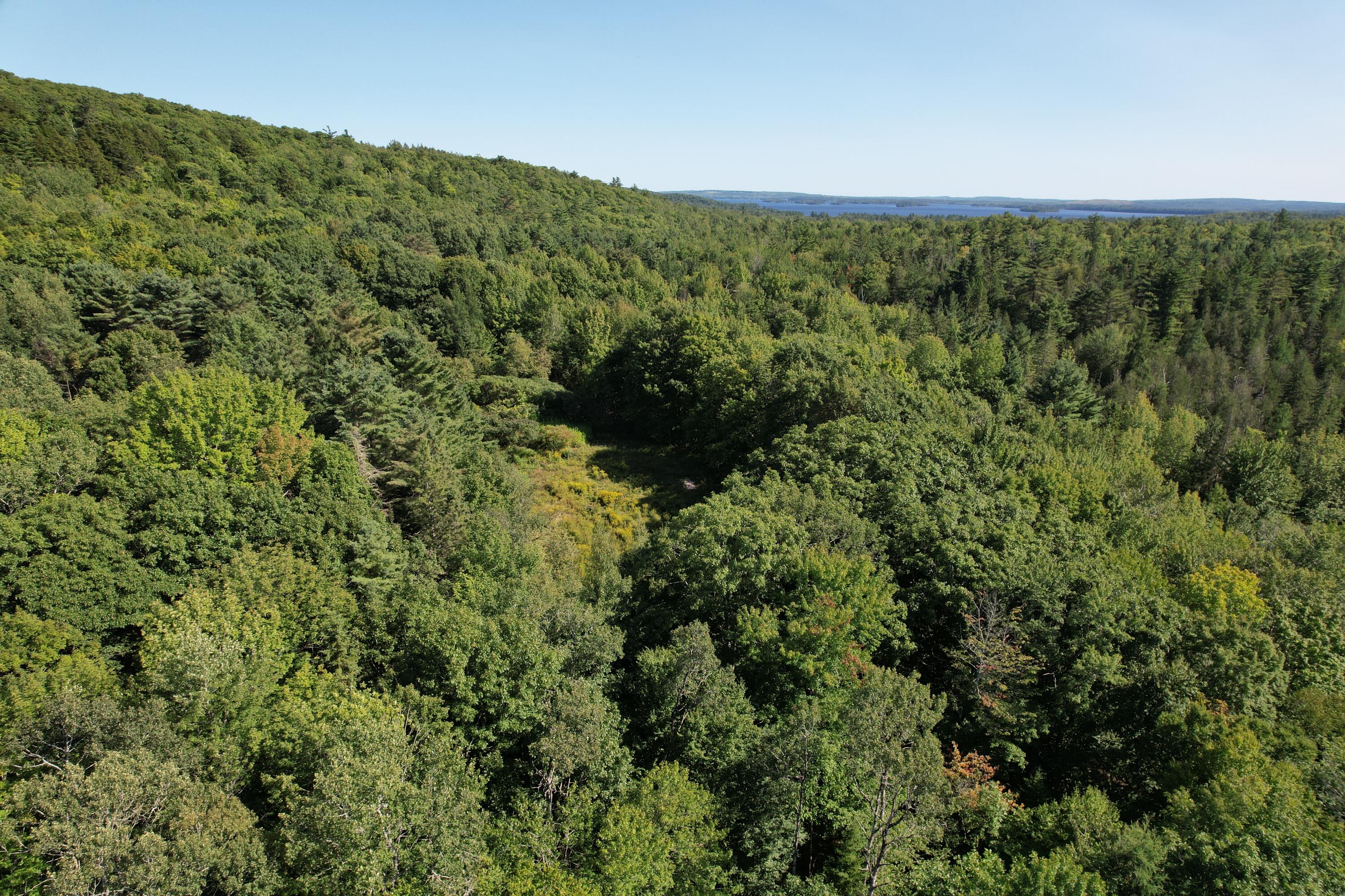 Lot 53 Robb Hill Road Property Photo 25