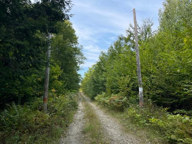 Lot 53 Robb Hill Road Property Photo 27