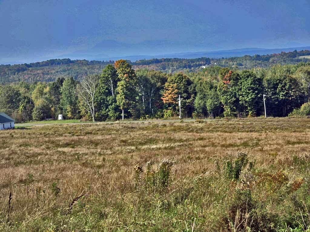 Lot B Off Thompson Settlement Road Property Photo 13
