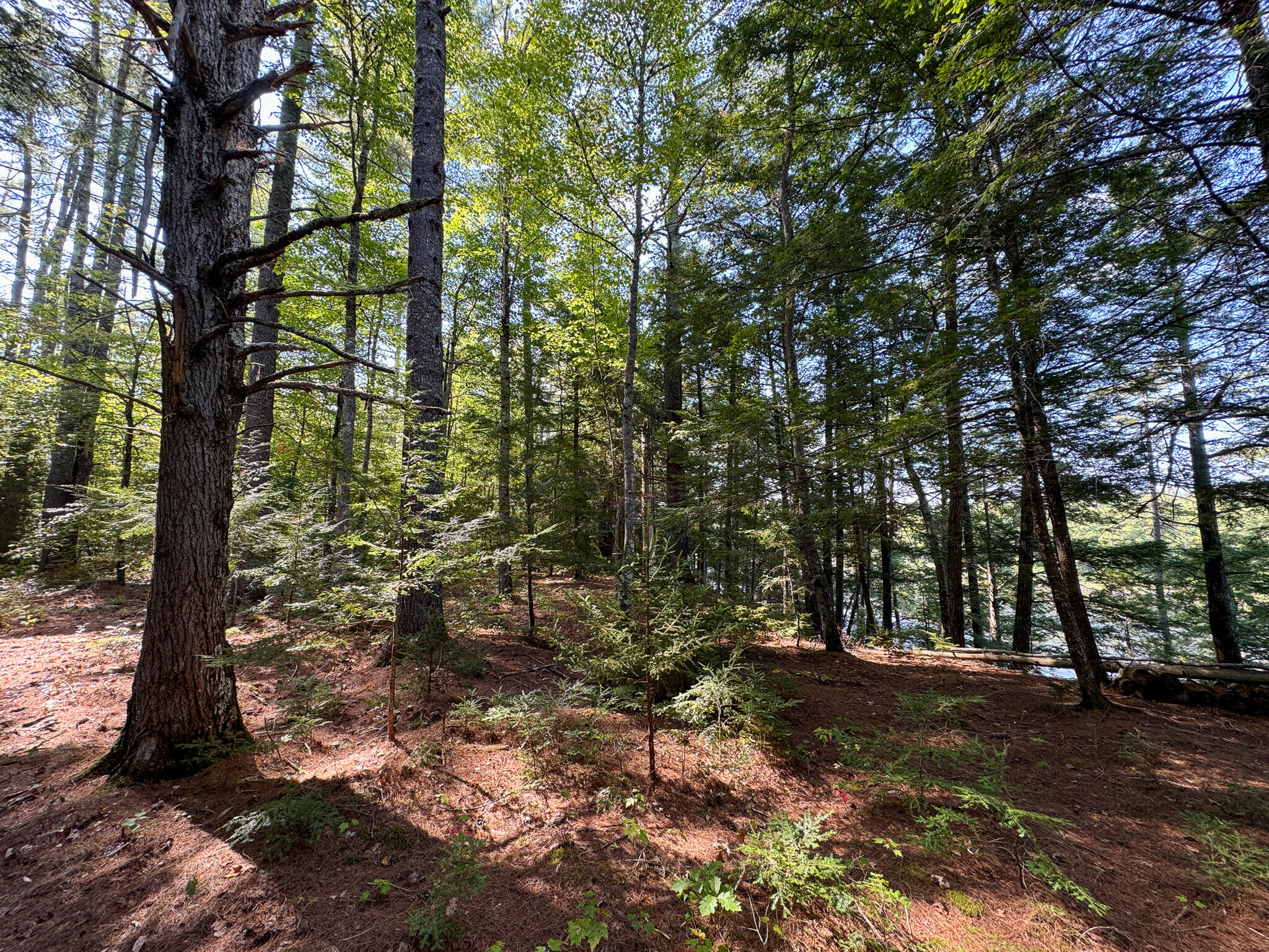 M2l18a-2 River Road Property Photo 10