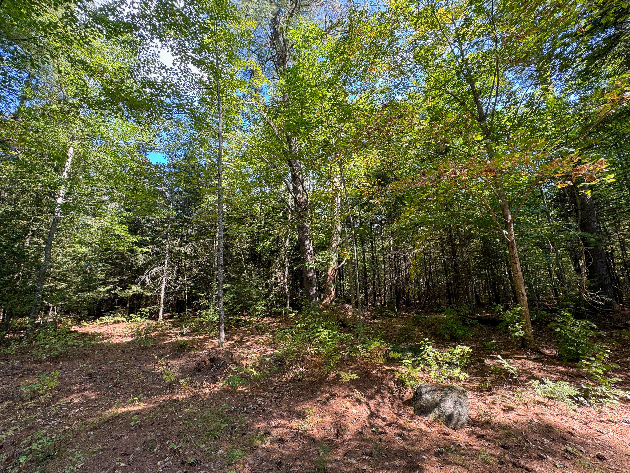 M2l18a-2 River Road Property Photo 19