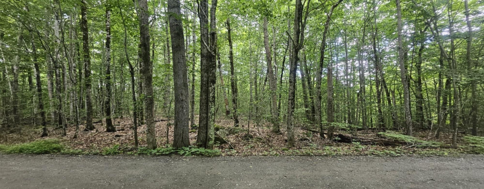 Lot 2c Woodard Road Property Photo 2