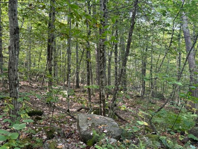 Lot 2c Woodard Road Property Photo 7