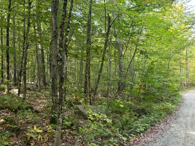 Lot 2c Woodard Road Property Photo 8