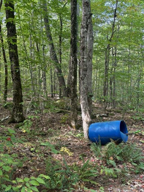 Lot 2c Woodard Road Property Photo 9
