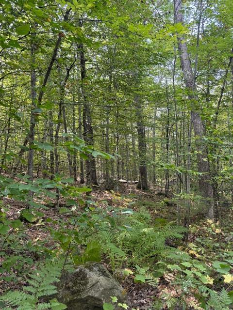 Lot 2c Woodard Road Property Photo 12
