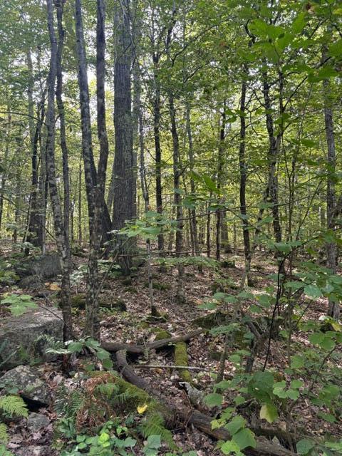 Lot 2c Woodard Road Property Photo 13