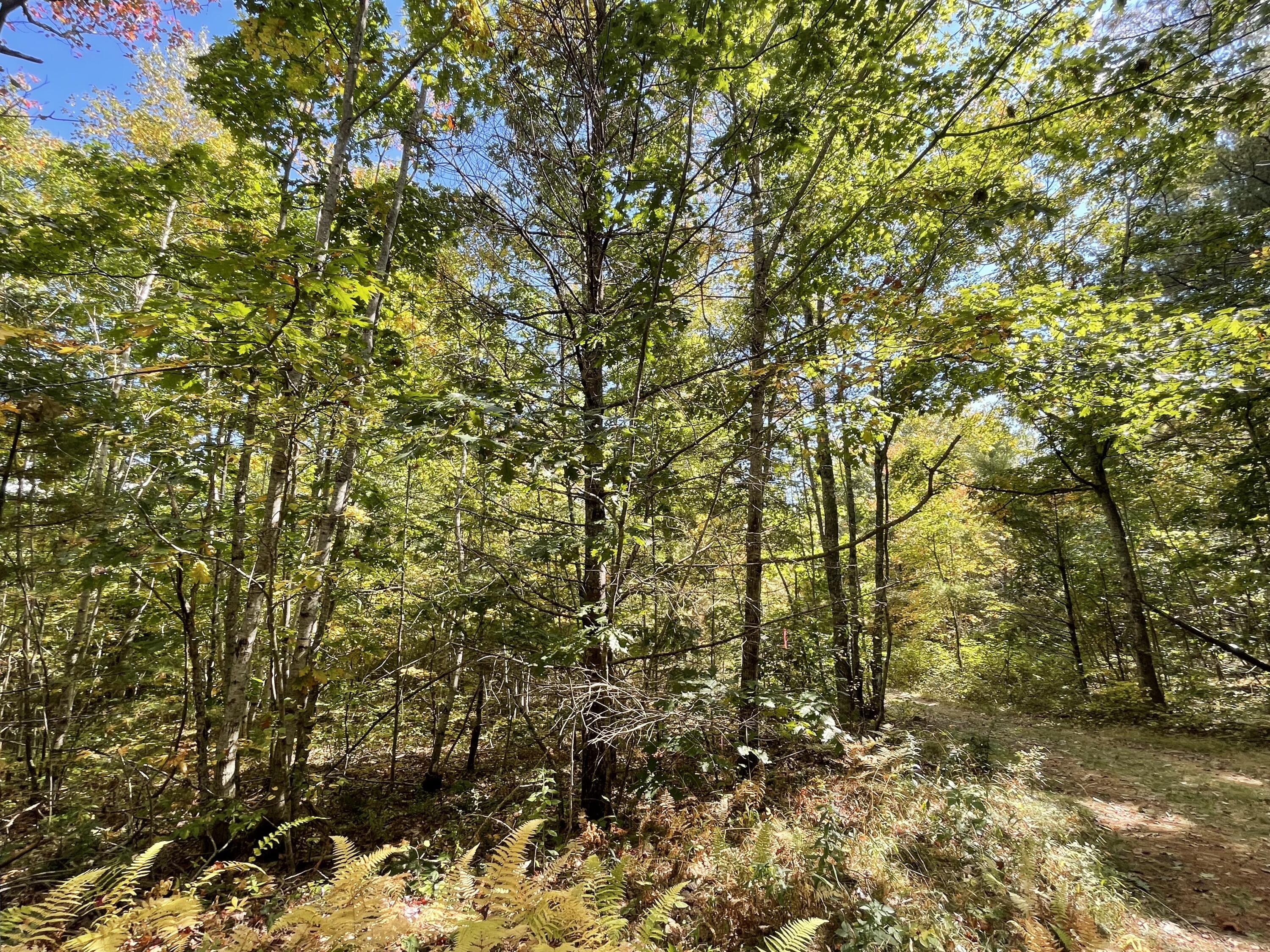 Lot #68-6 Webber Way Property Photo 2