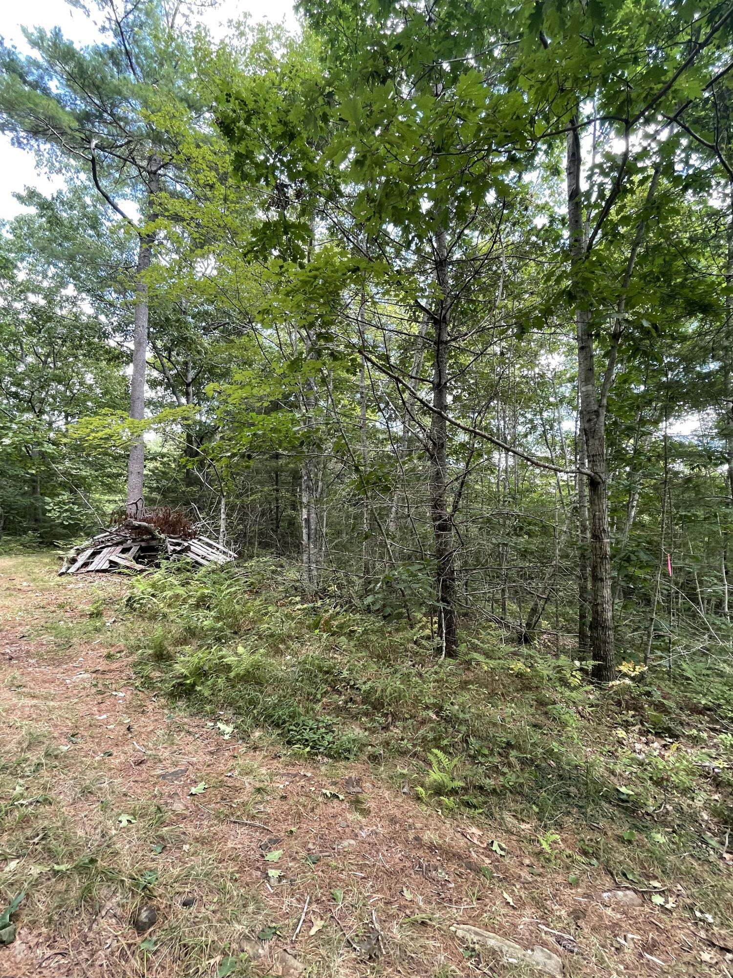 Lot #68-6 Webber Way Property Photo 3