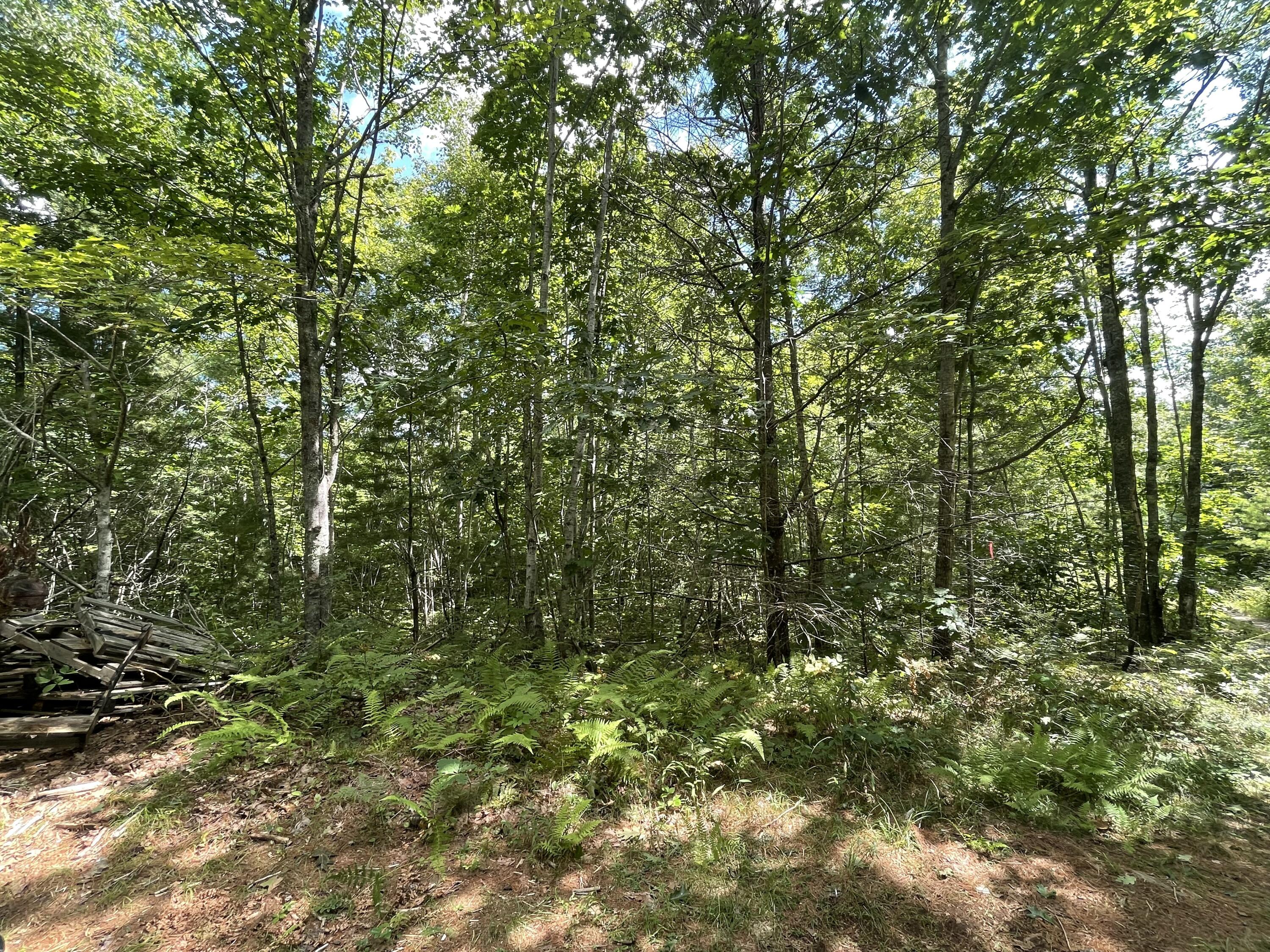 Lot #68-6 Webber Way Property Photo 4