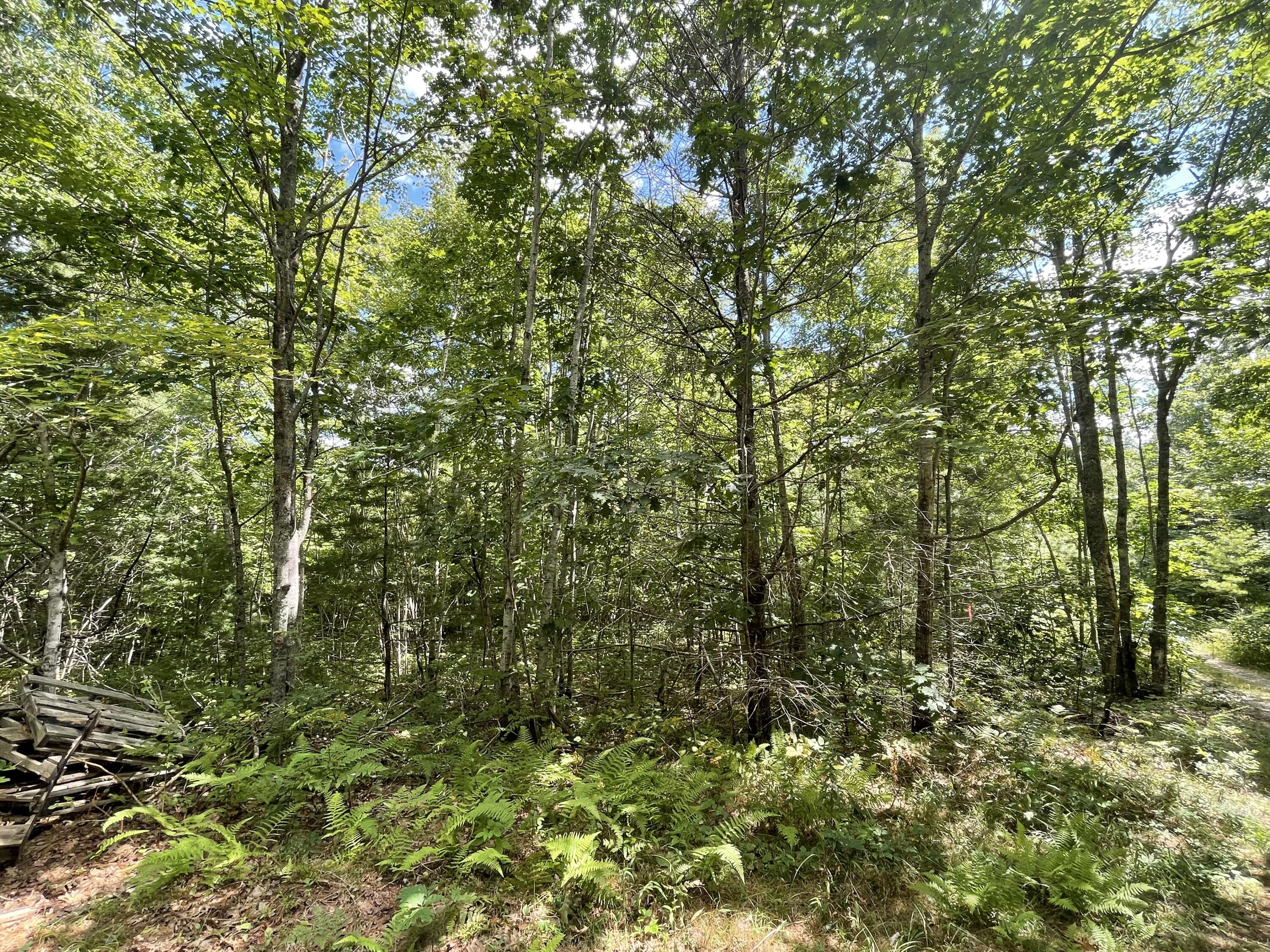 Lot #68-6 Webber Way Property Photo 5