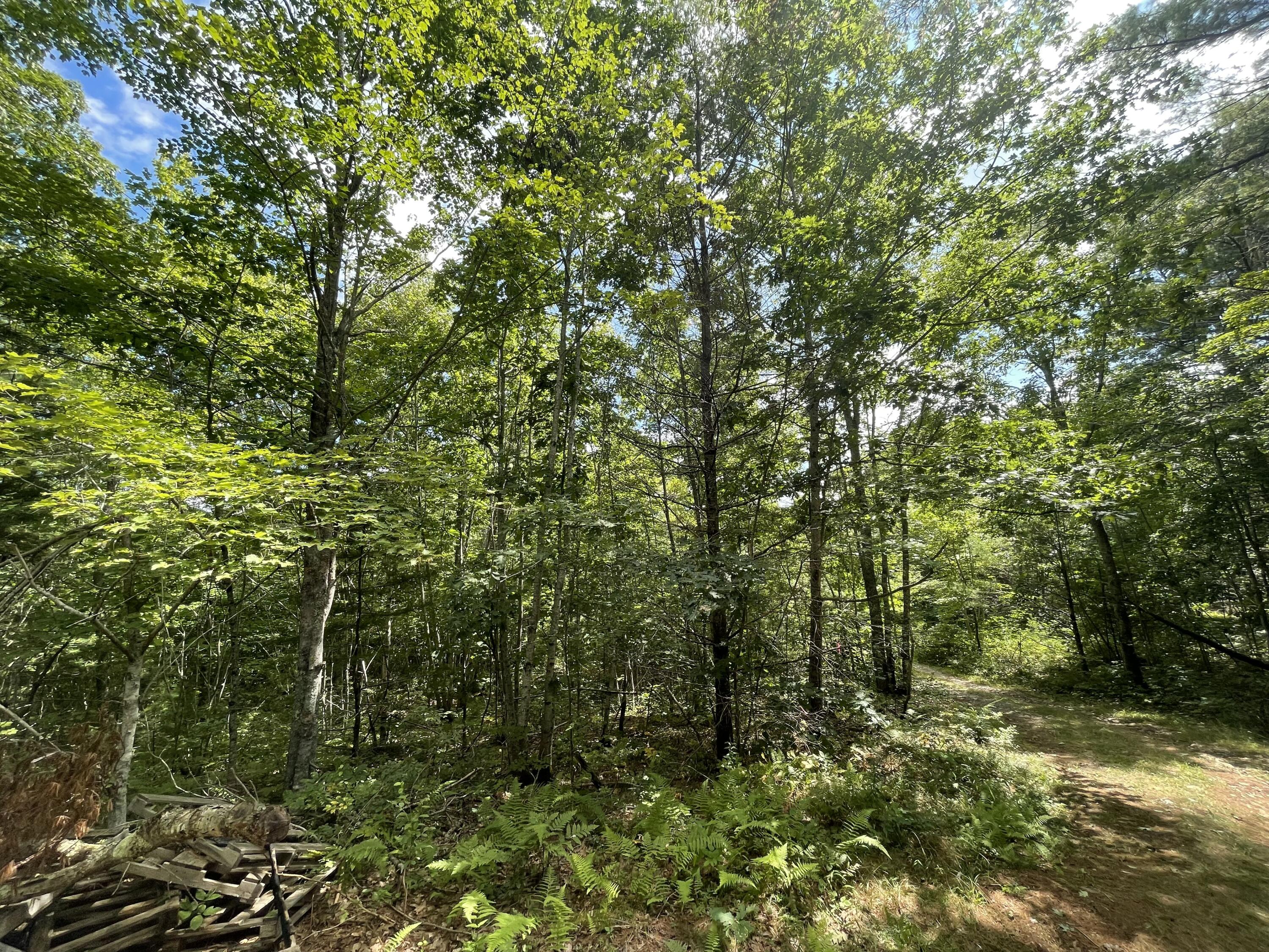Lot #68-6 Webber Way Property Photo 6