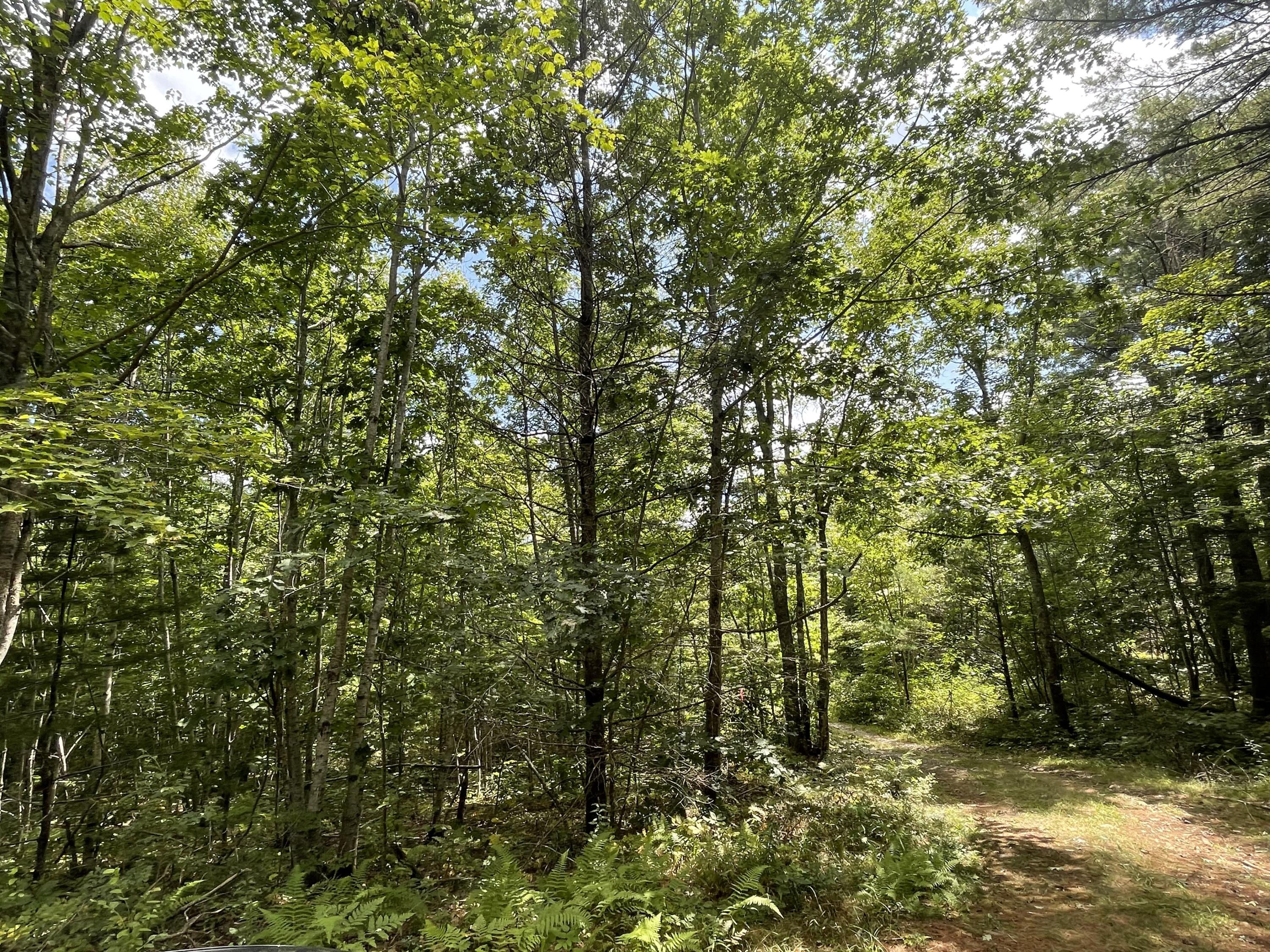 Lot #68-6 Webber Way Property Photo 7