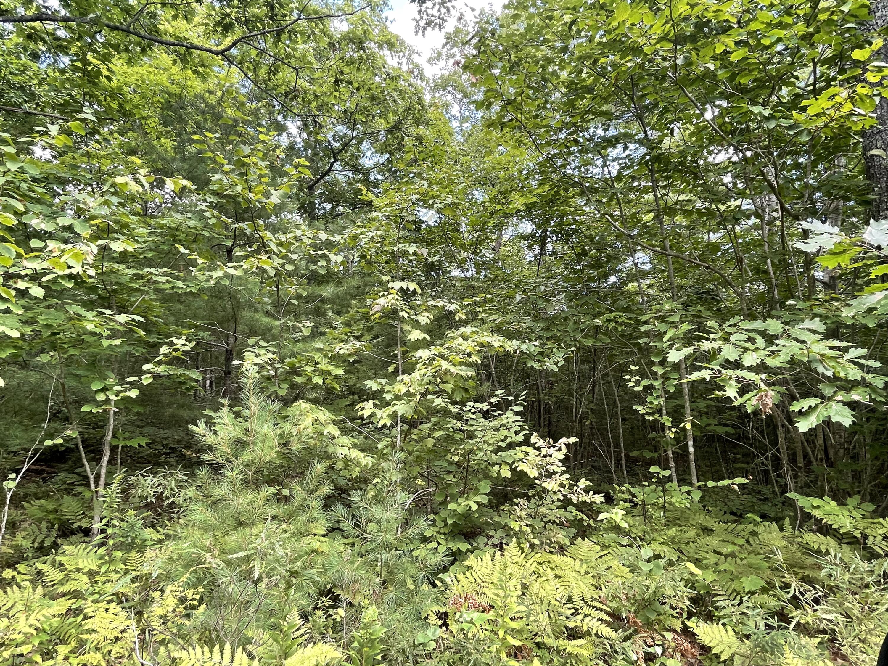 Lot #68-6 Webber Way Property Photo 8