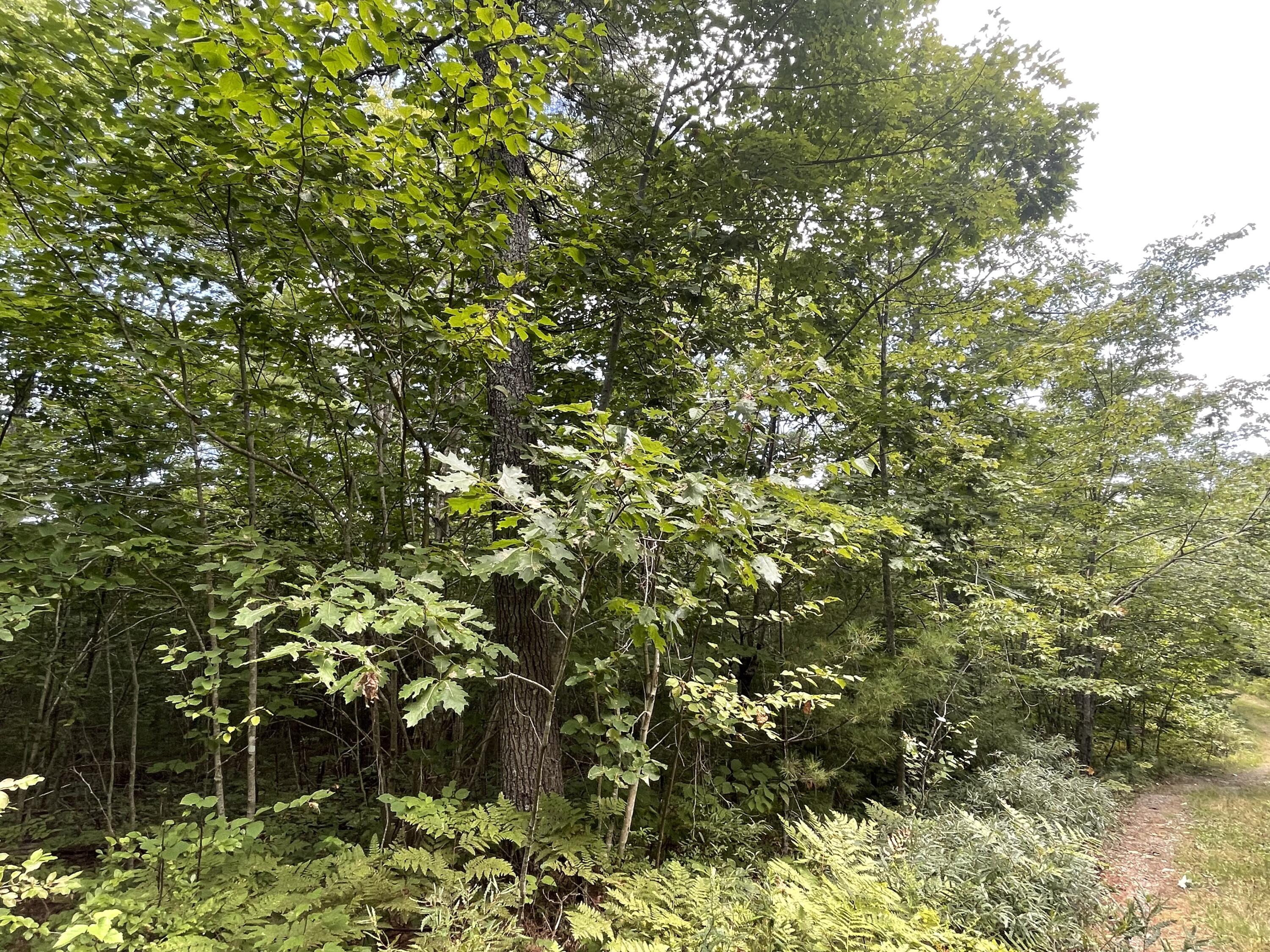 Lot #68-6 Webber Way Property Photo 9