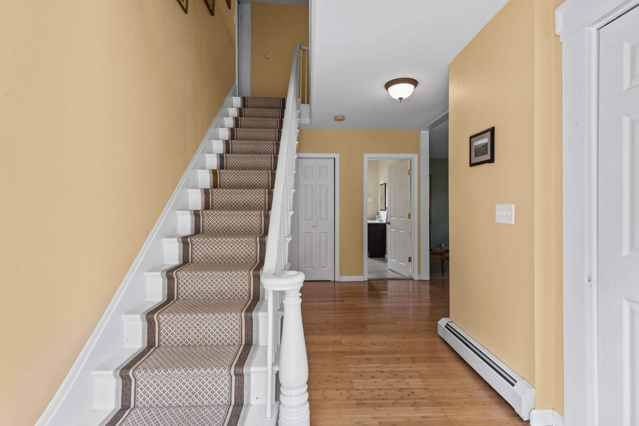 51 Main Road Property Photo 19