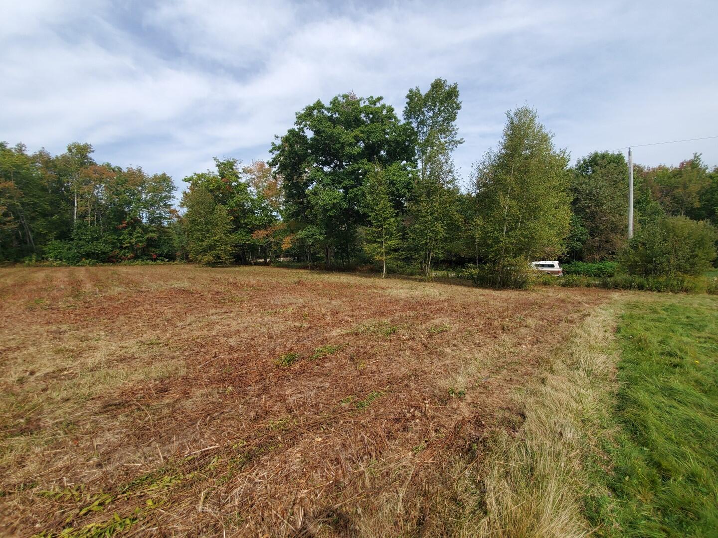 Lot 7 Cheri Lane Property Photo 3