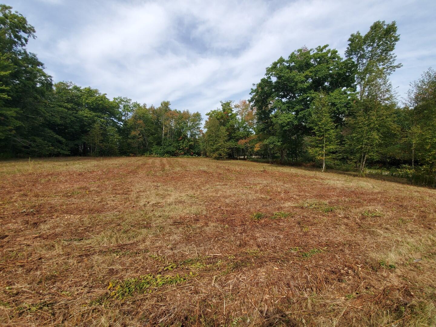 Lot 7 Cheri Lane Property Photo 4
