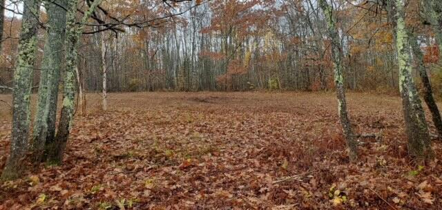 Lot 7 Cheri Lane Property Photo 7