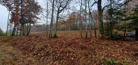 Lot 7 Cheri Lane Property Photo 8