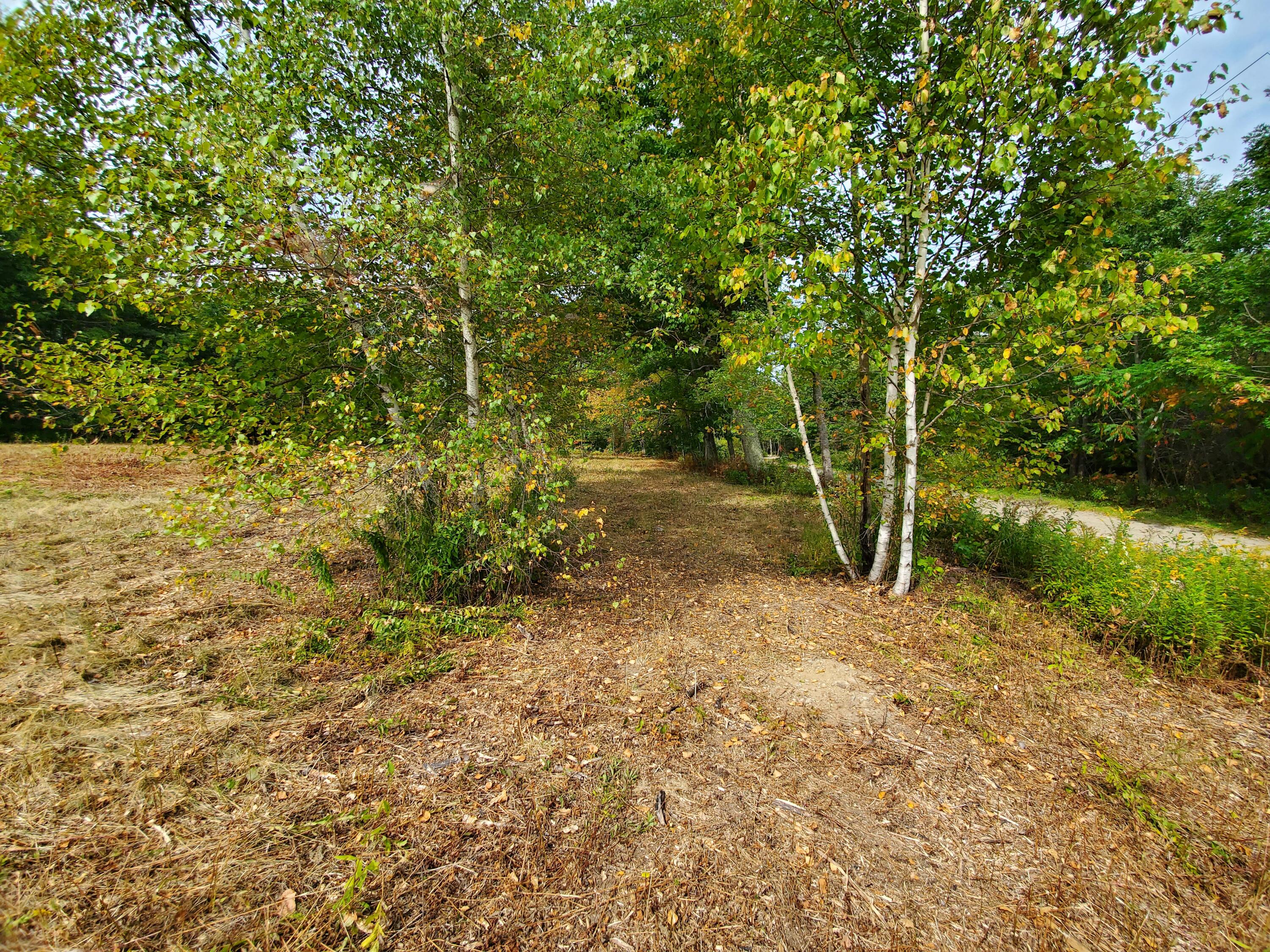 Lot 7 Cheri Lane Property Photo 29