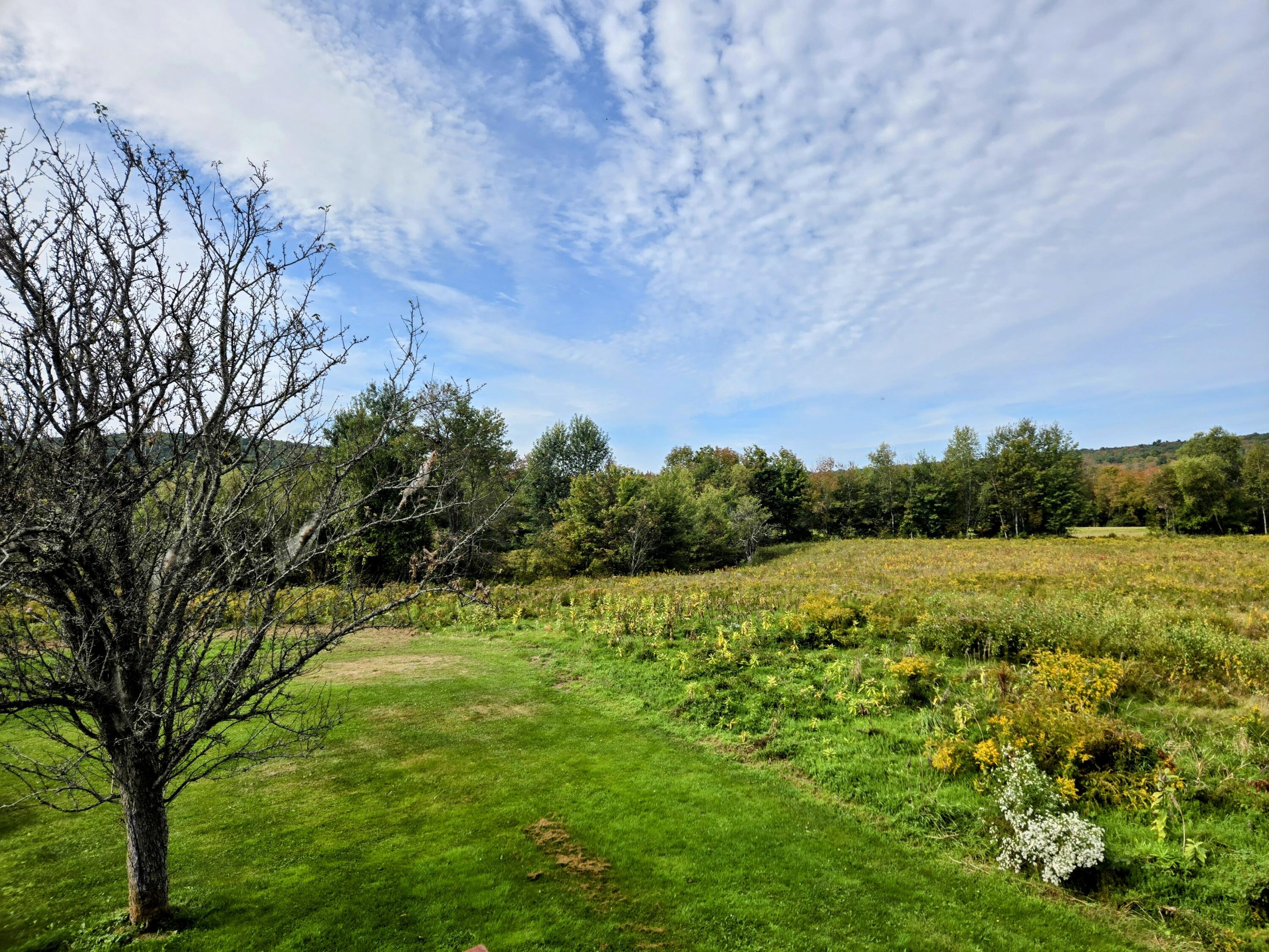 1079 Belfast Road Property Photo 13