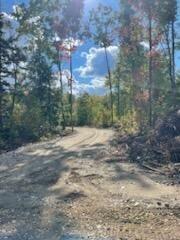 Lot #4 Beaulieu Lane Property Photo 6