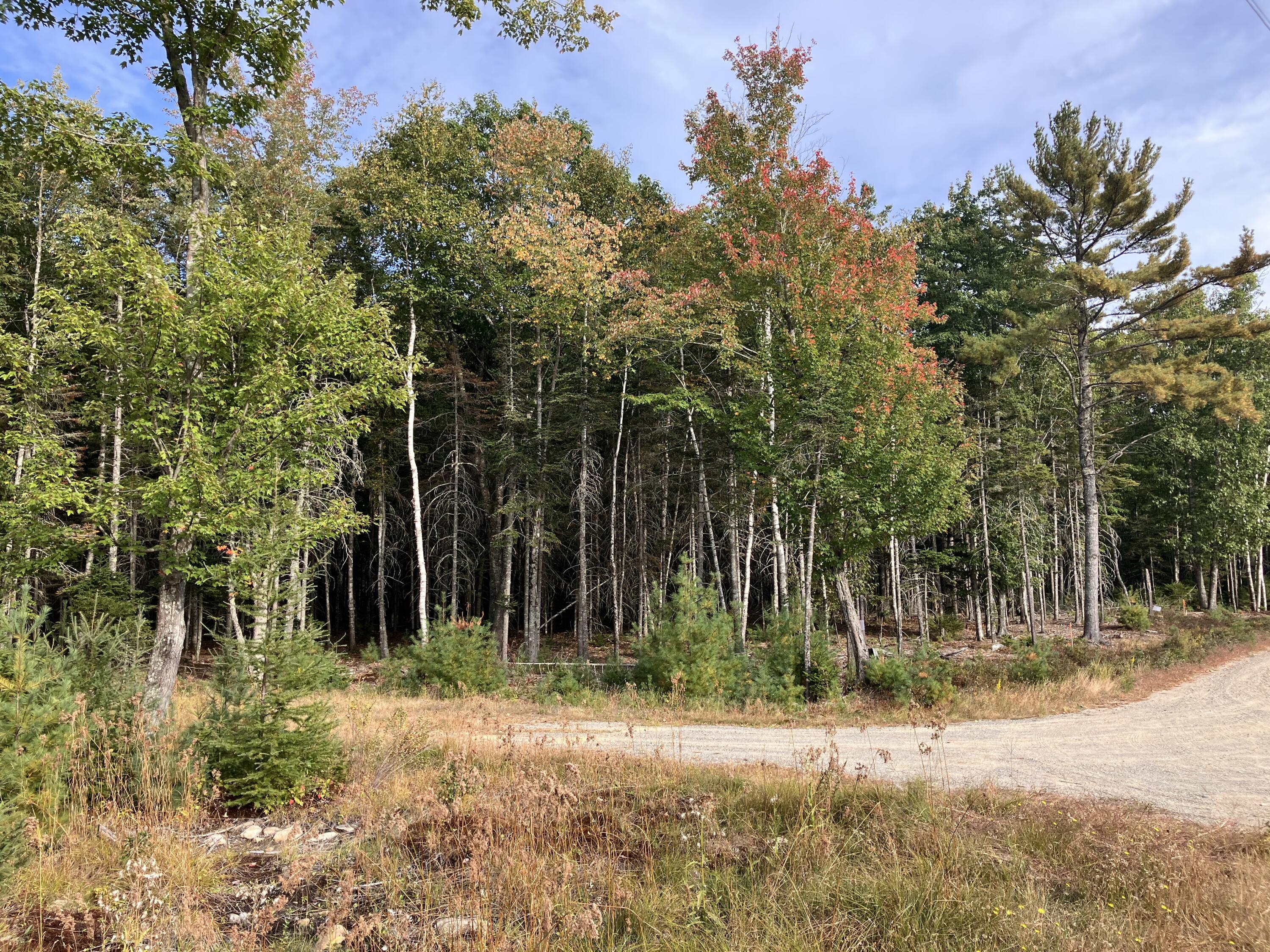 Lot 5 Bluff Road Property Photo 1