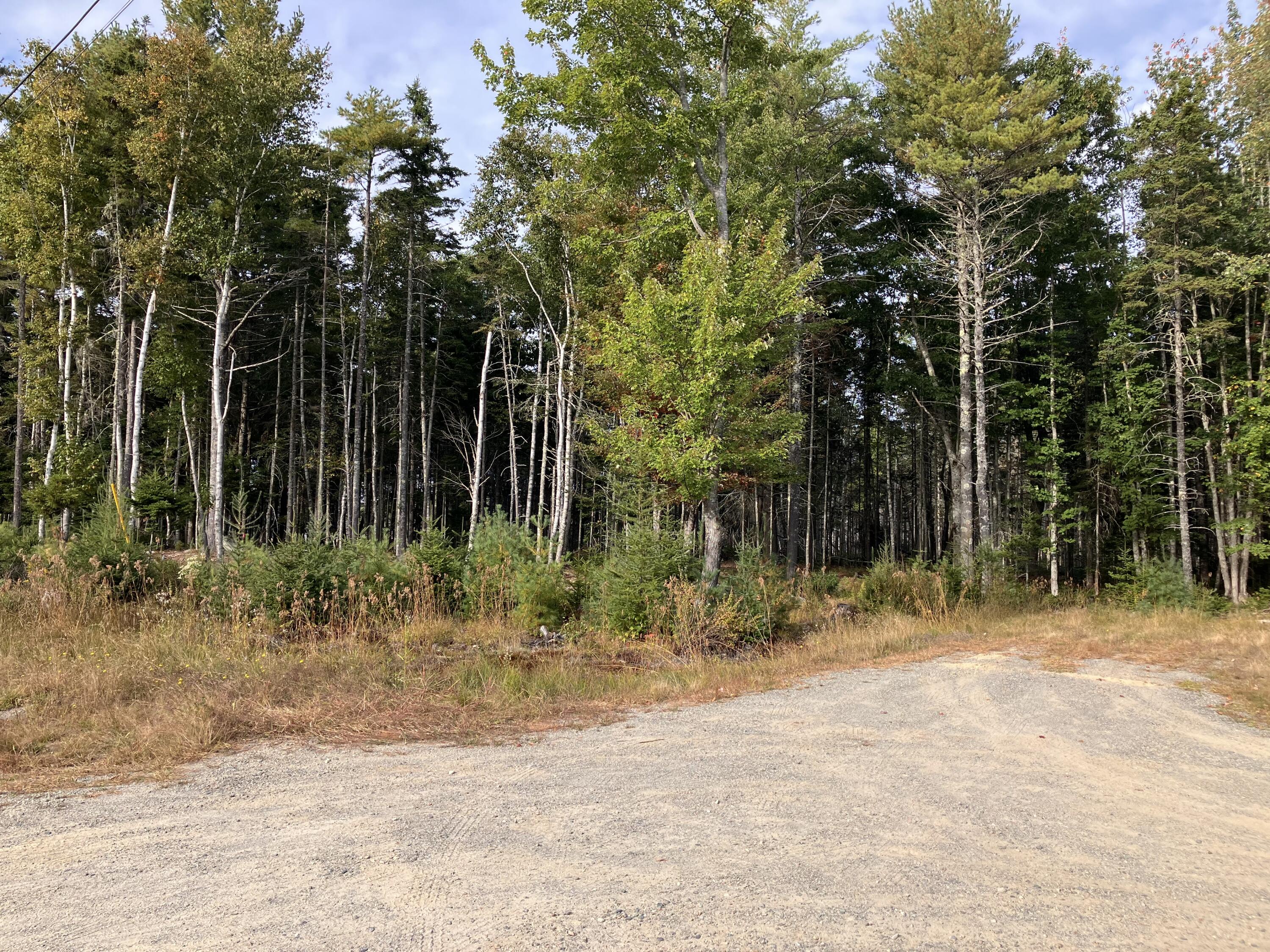 Lot 5 Bluff Road Property Photo 2