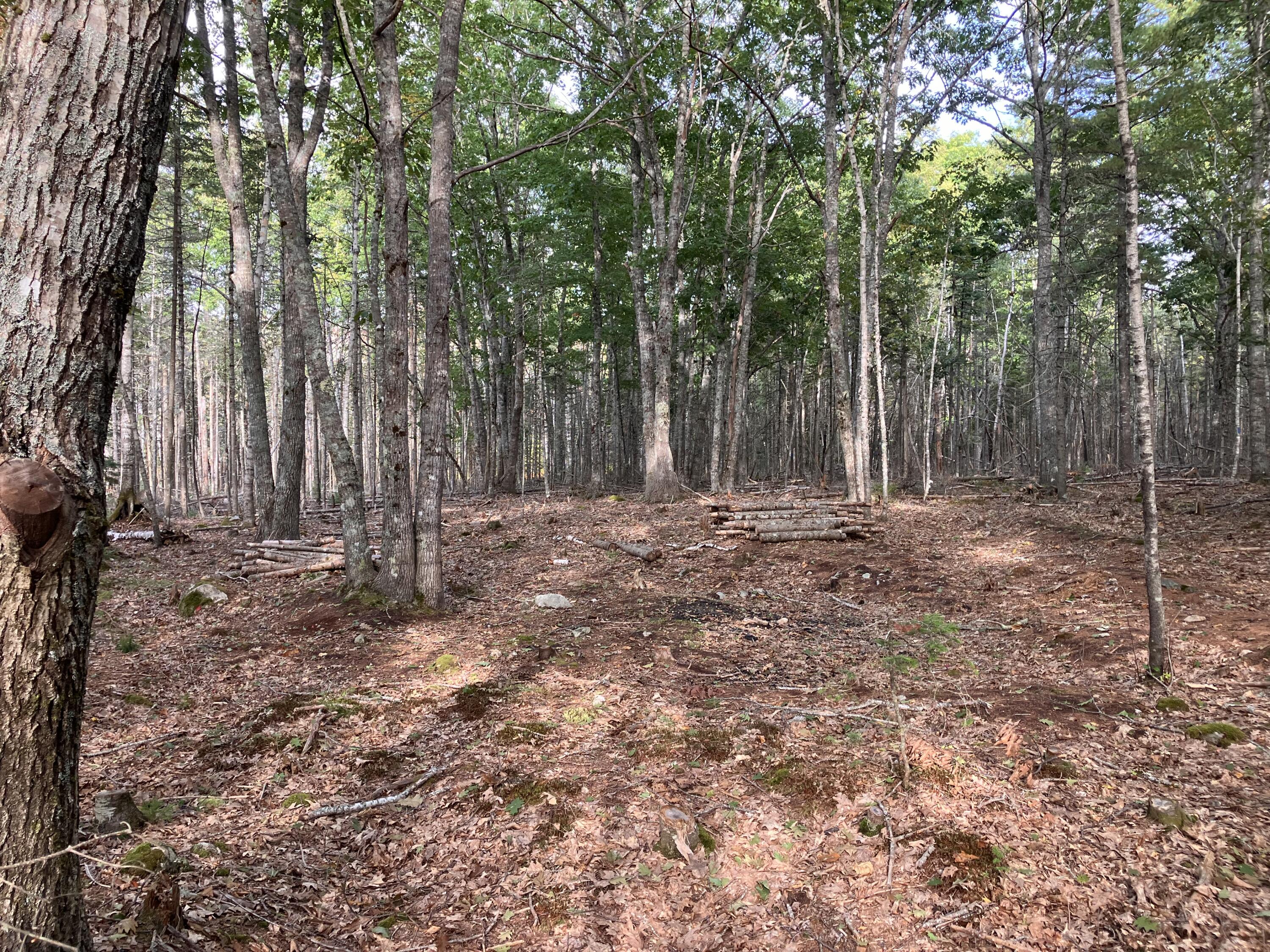 Lot 5 Bluff Road Property Photo 8