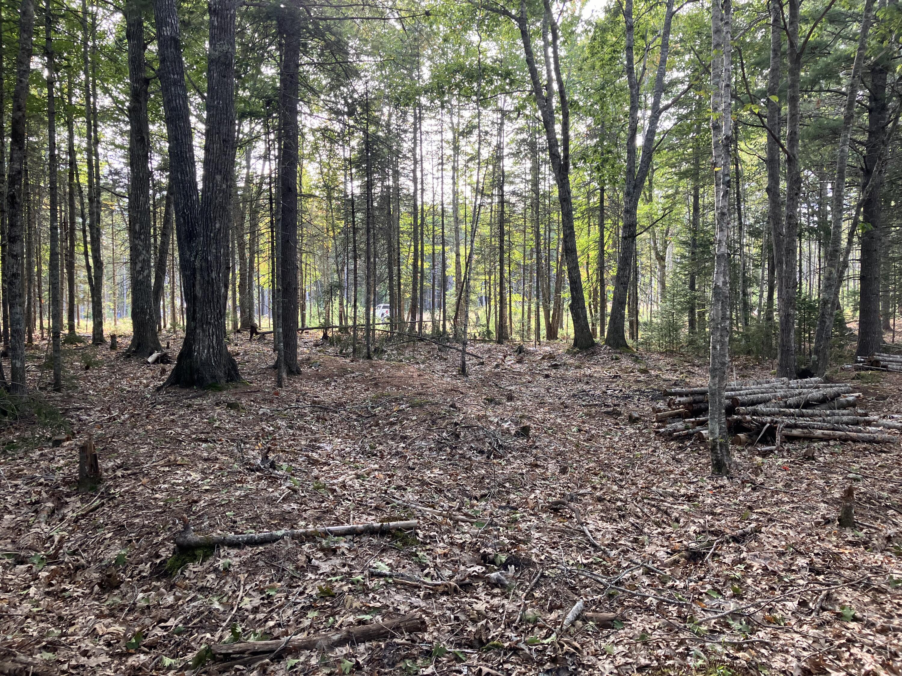 Lot 5 Bluff Road Property Photo 9