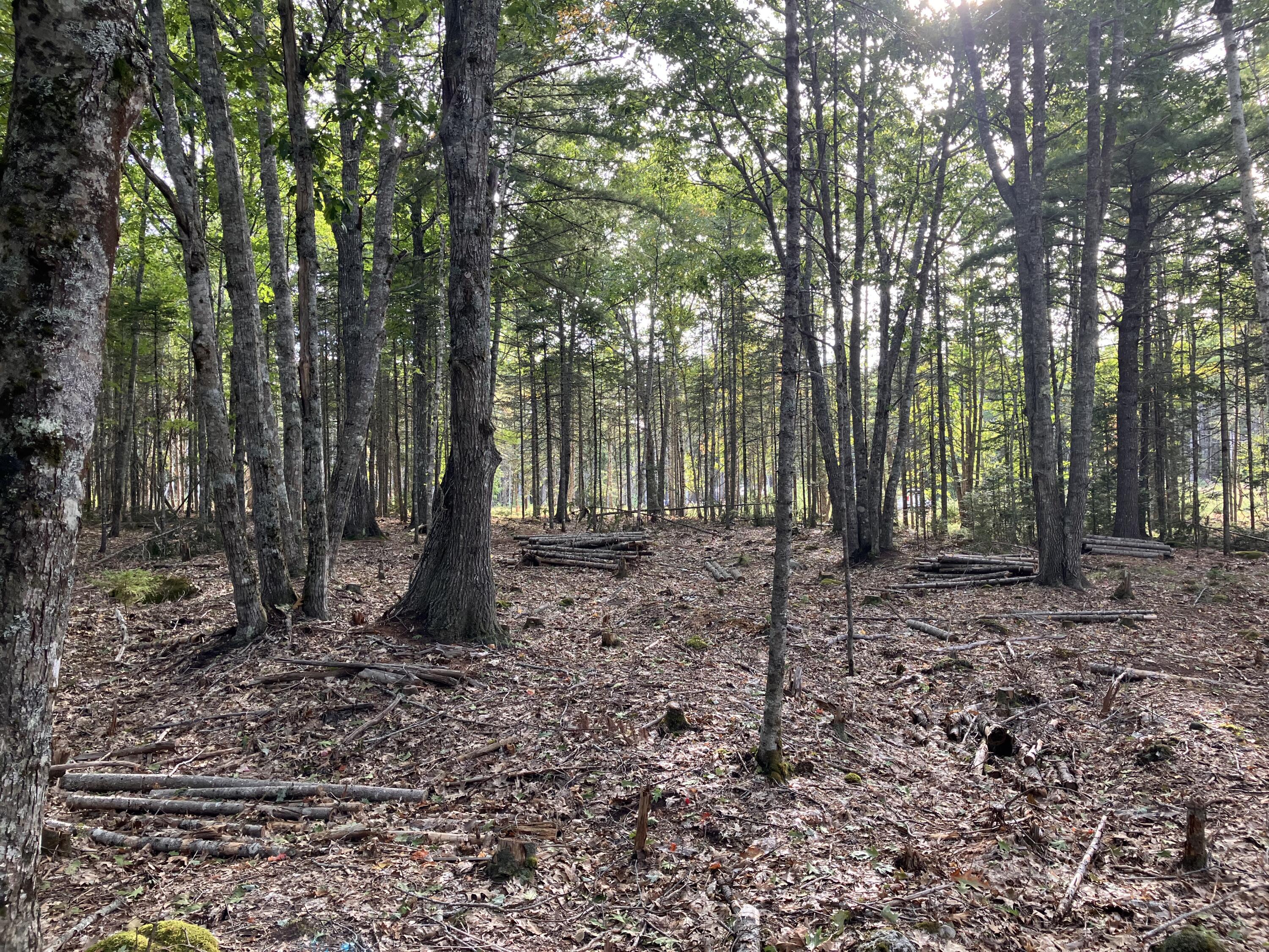 Lot 5 Bluff Road Property Photo 10