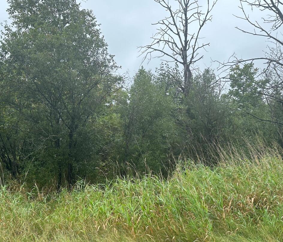 Map030101 Aroostook Road Property Photo 2