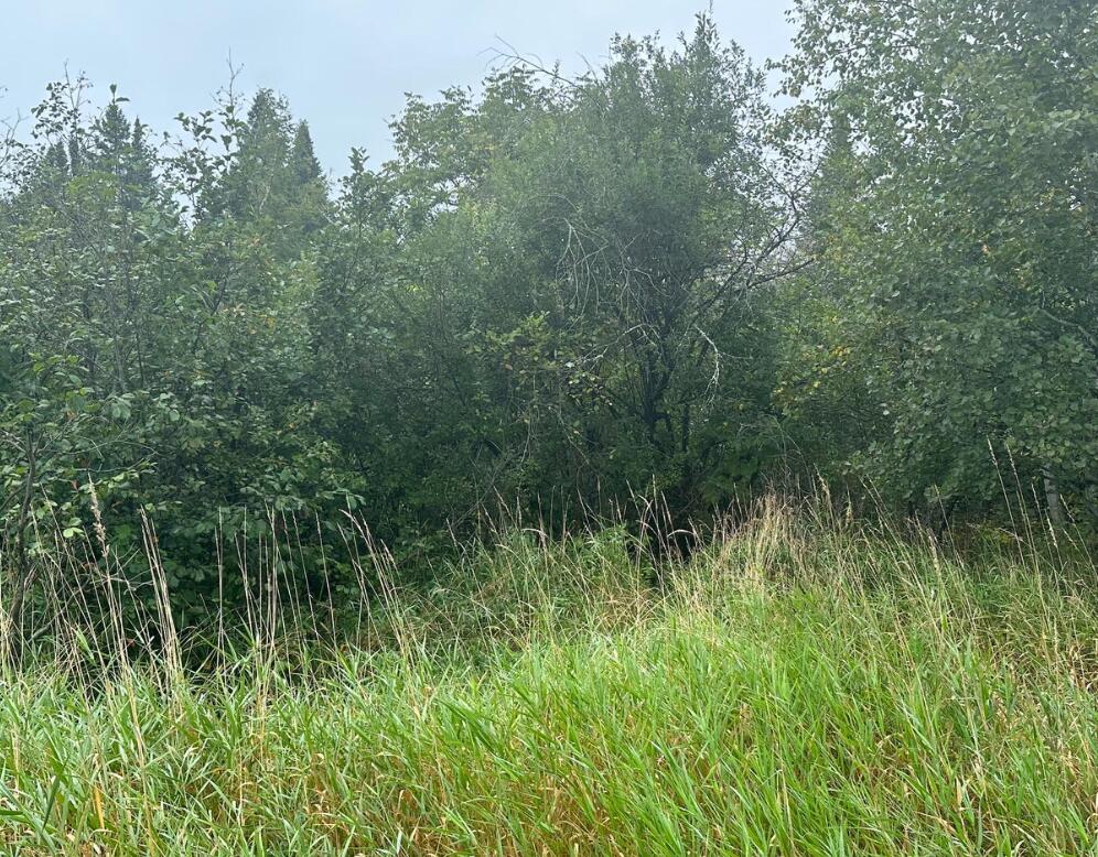 Map030101 Aroostook Road Property Photo 3
