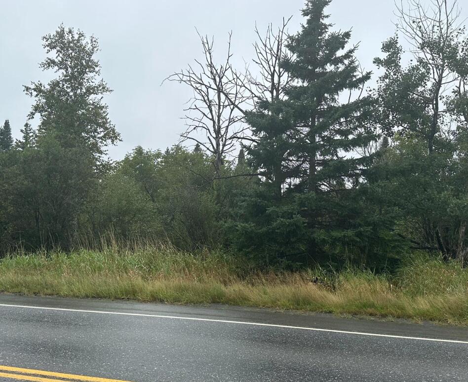 Map030101 Aroostook Road Property Photo 4