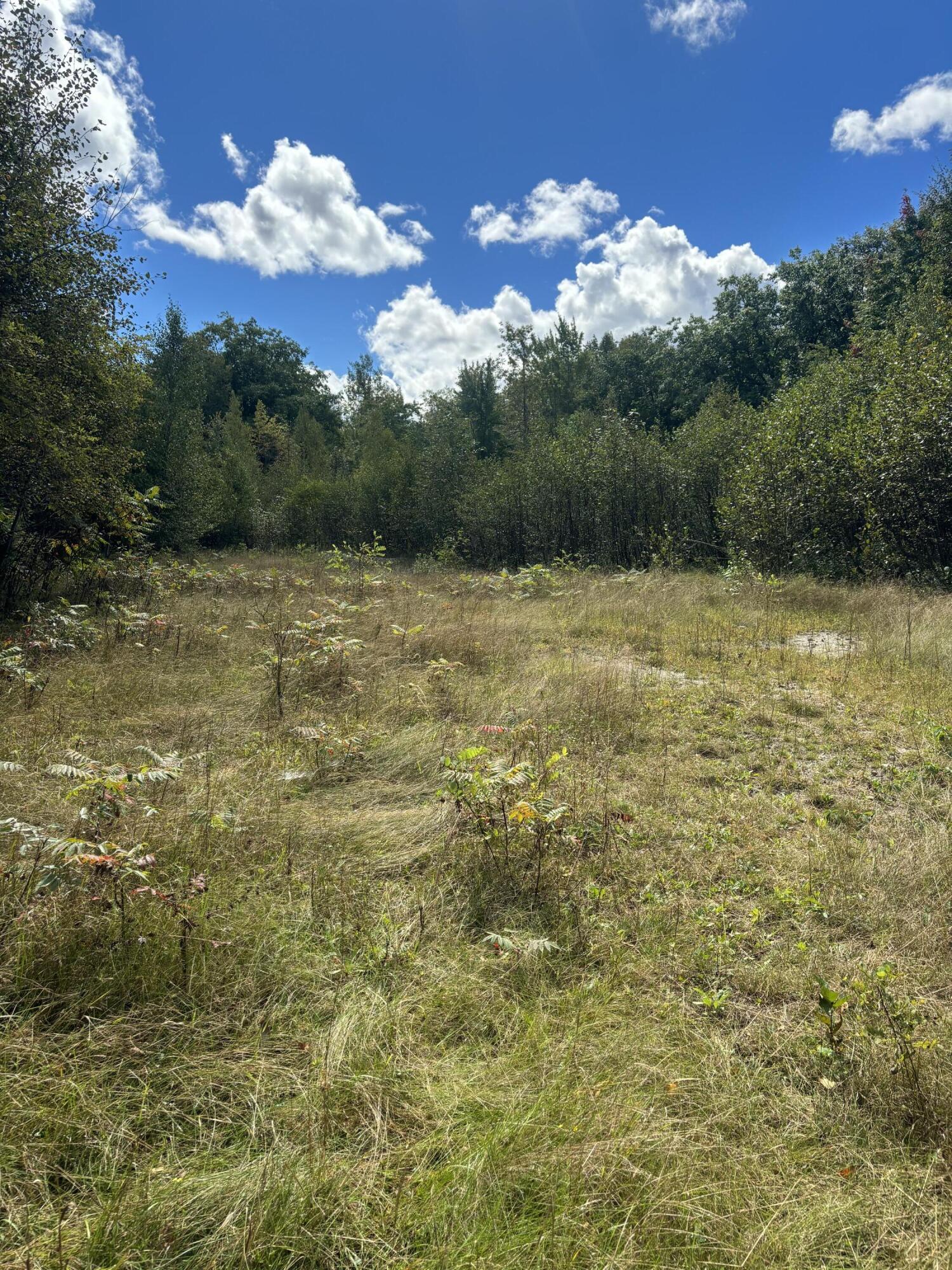 Map8lot5 Peltoma Property Photo 19