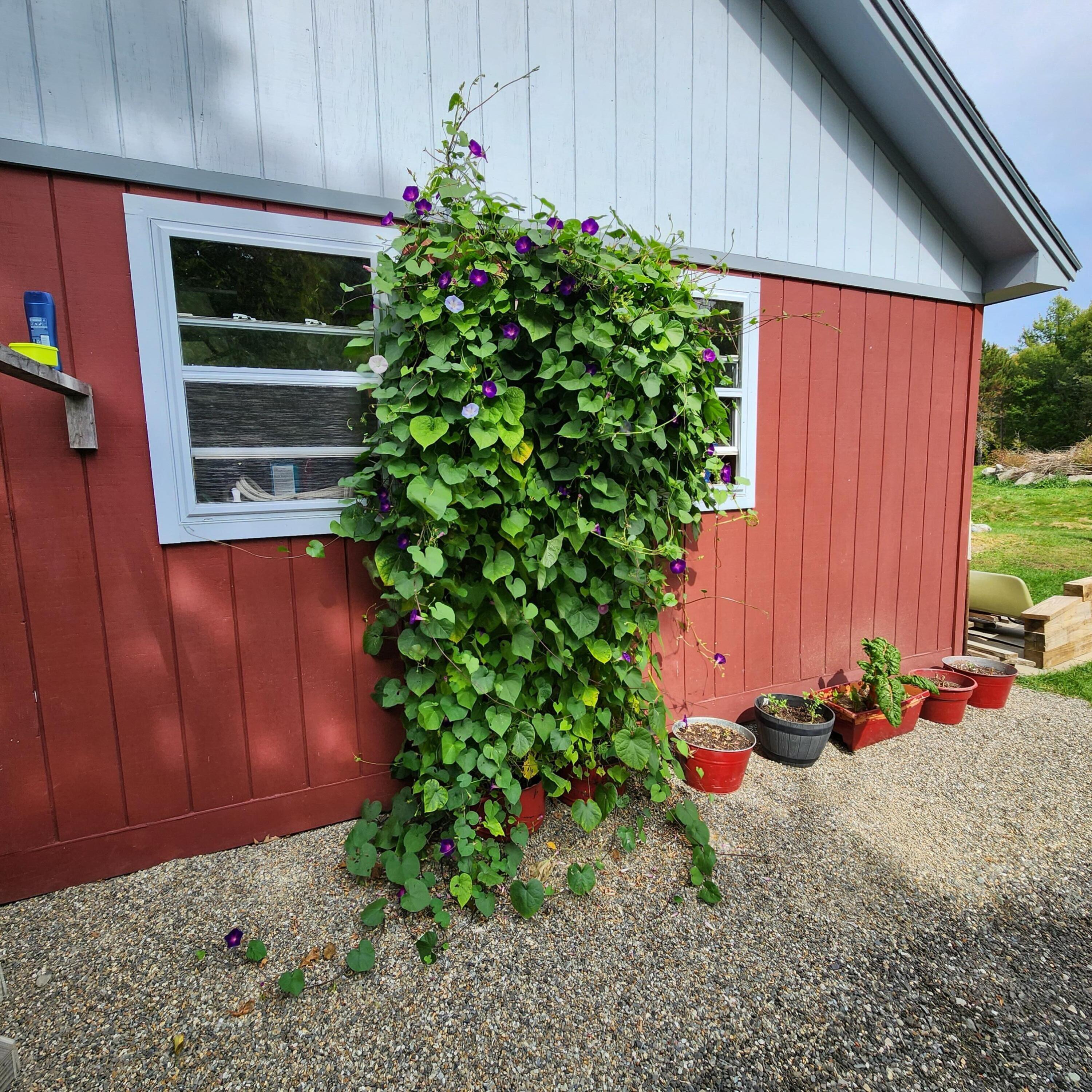 583 Mount Ephraim Road Property Photo 8