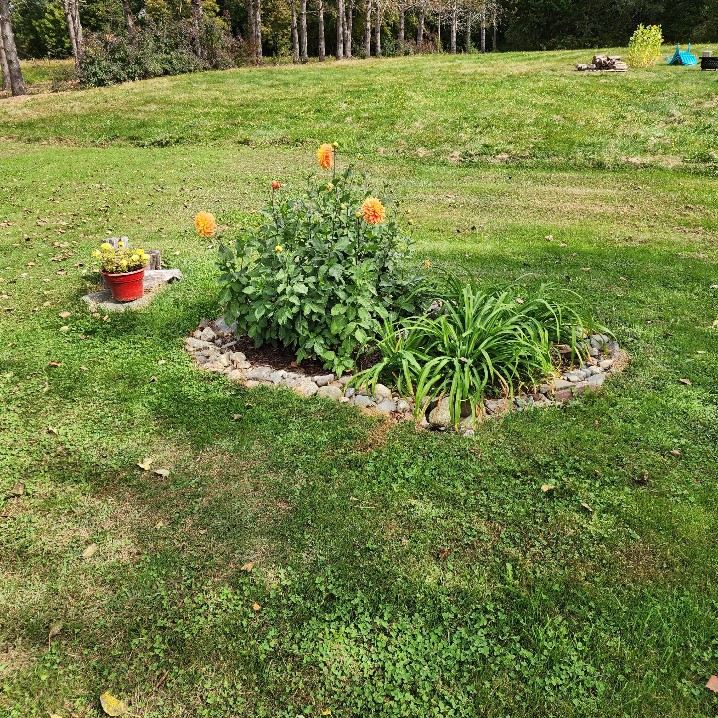 583 Mount Ephraim Road Property Photo 11