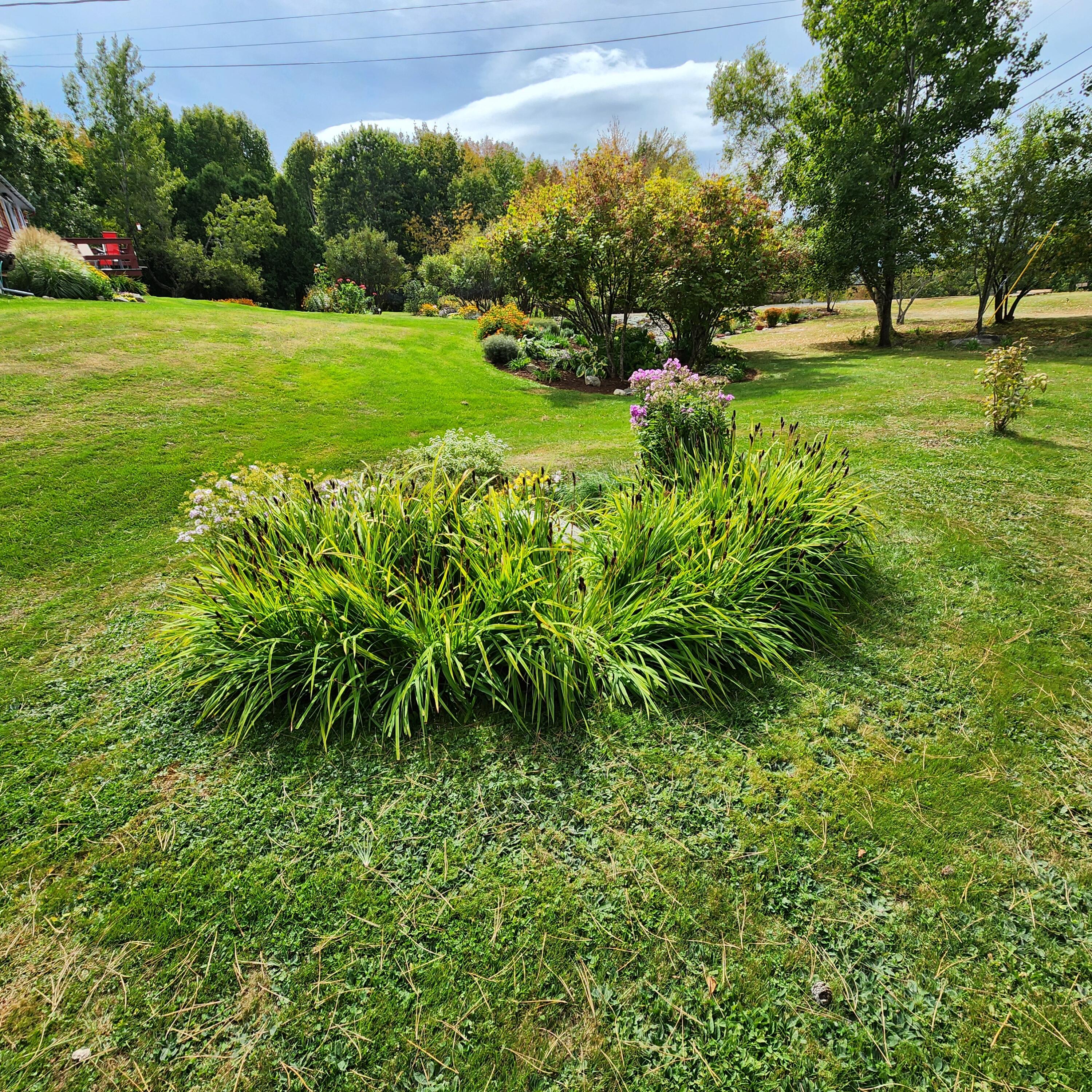583 Mount Ephraim Road Property Photo 12