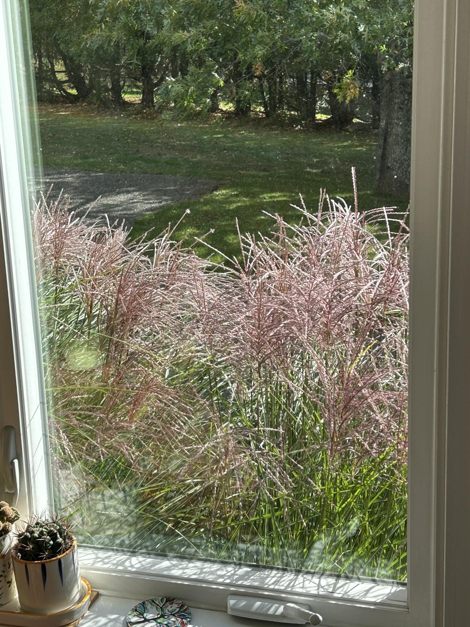 583 Mount Ephraim Road Property Photo 72