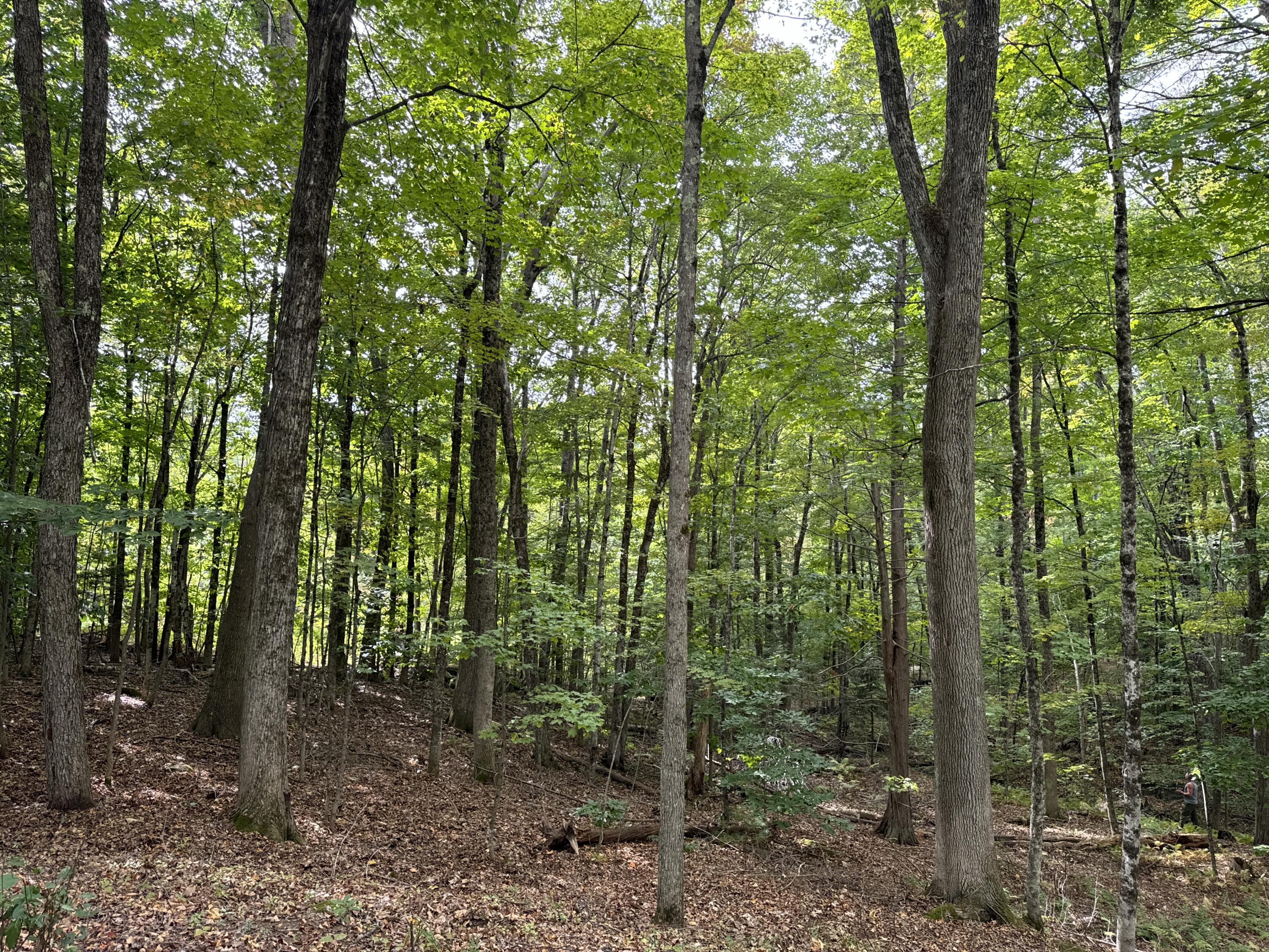 22 Community Drive Property Photo 3