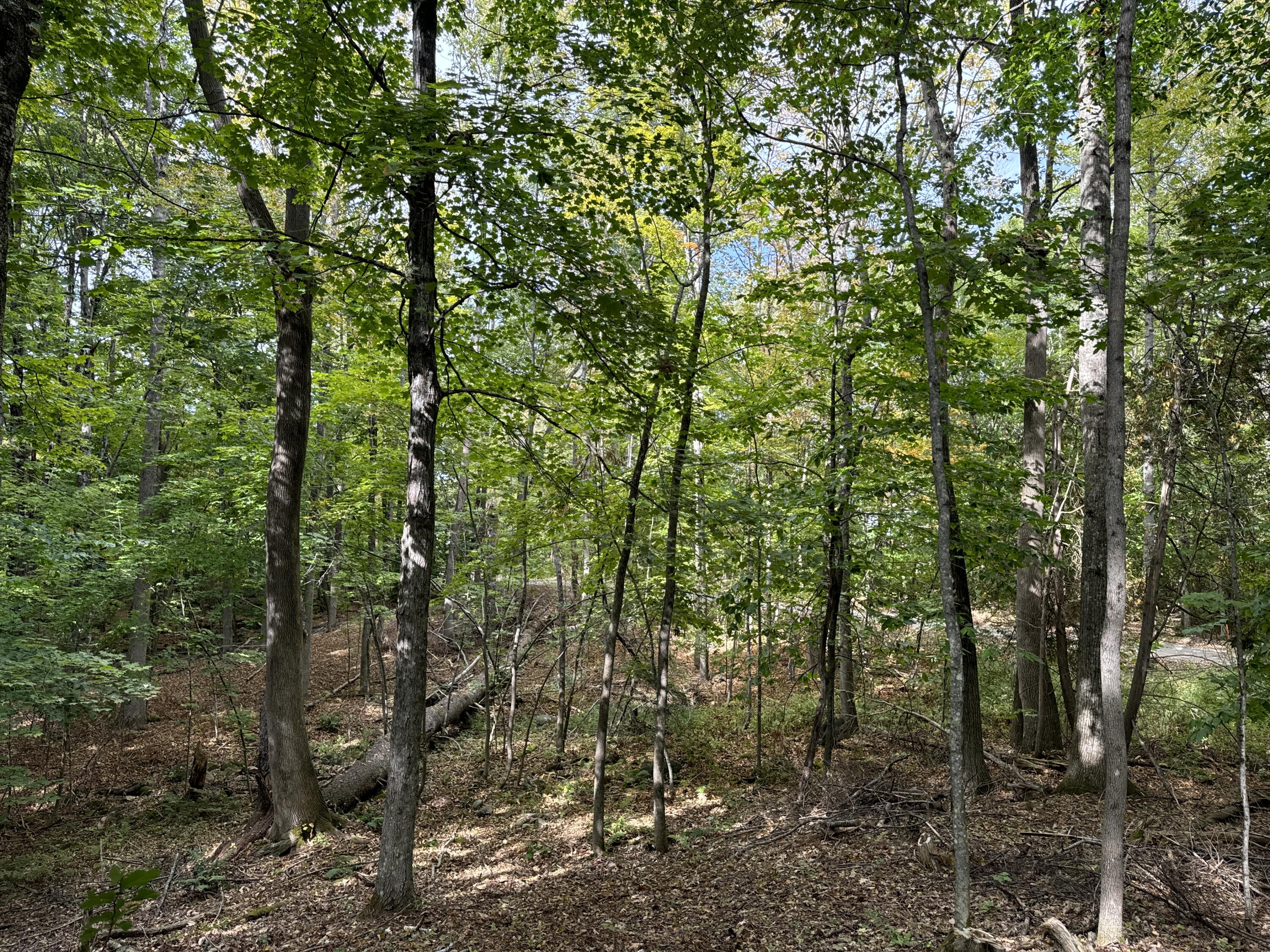 22 Community Drive Property Photo 5