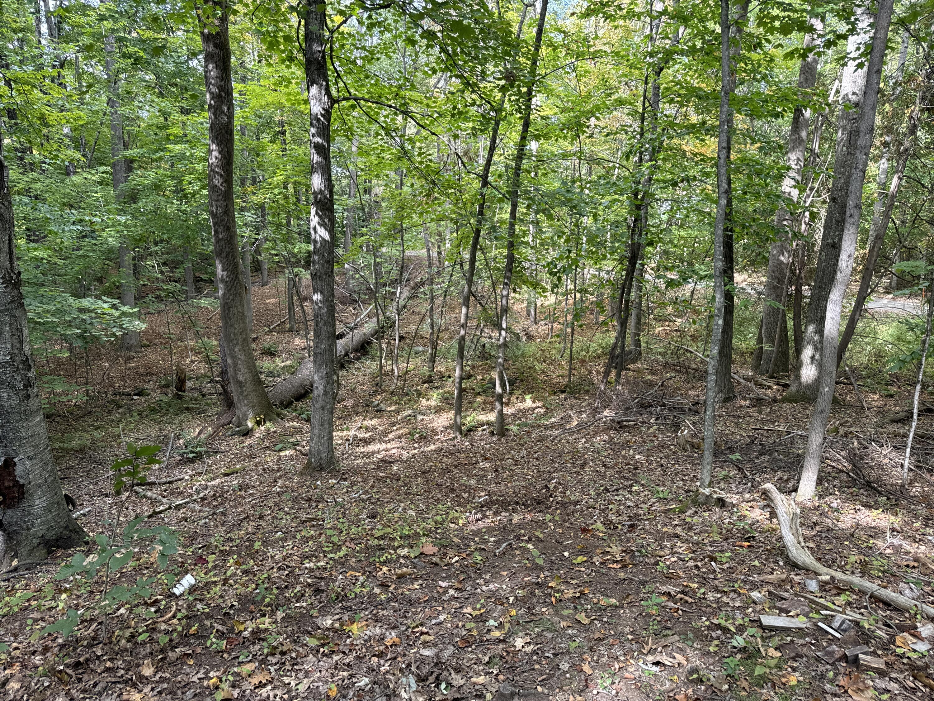 22 Community Drive Property Photo 6