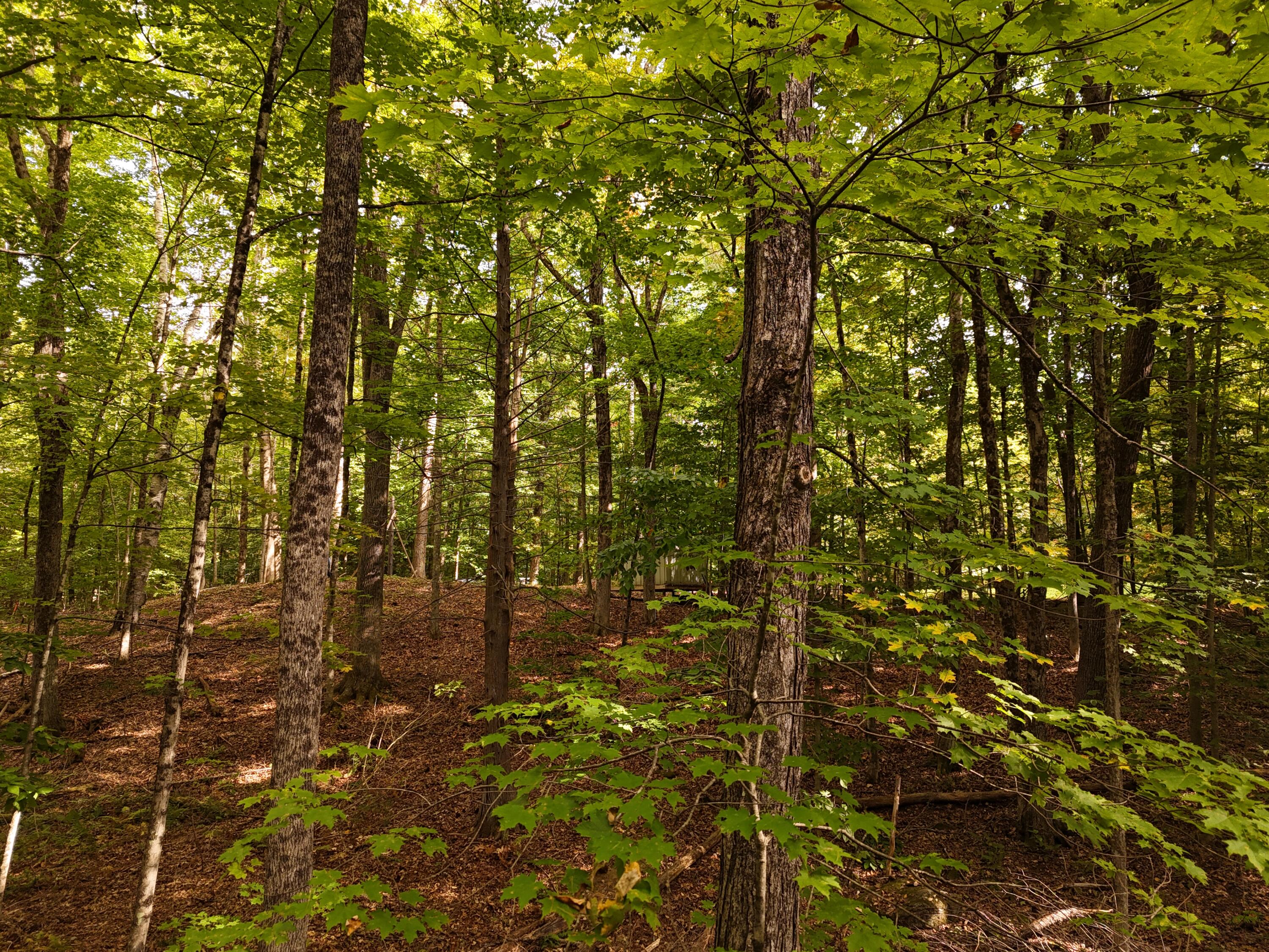 22 Community Drive Property Photo 7