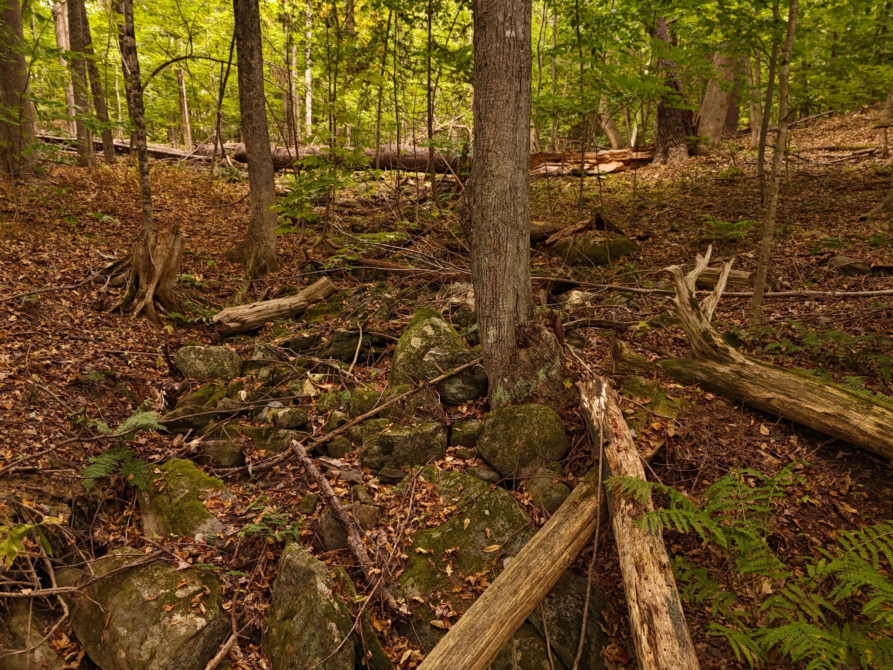 22 Community Drive Property Photo 8