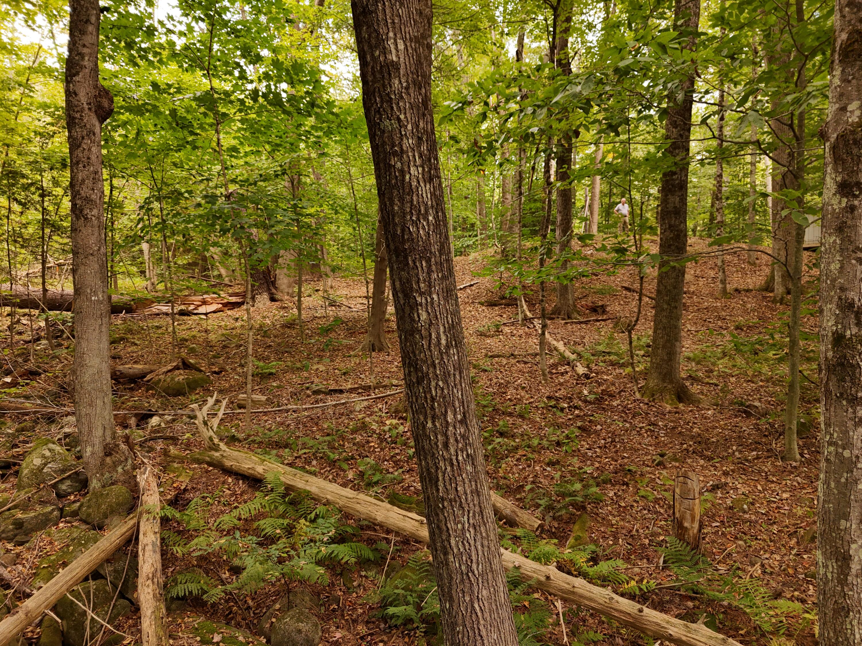 22 Community Drive Property Photo 9