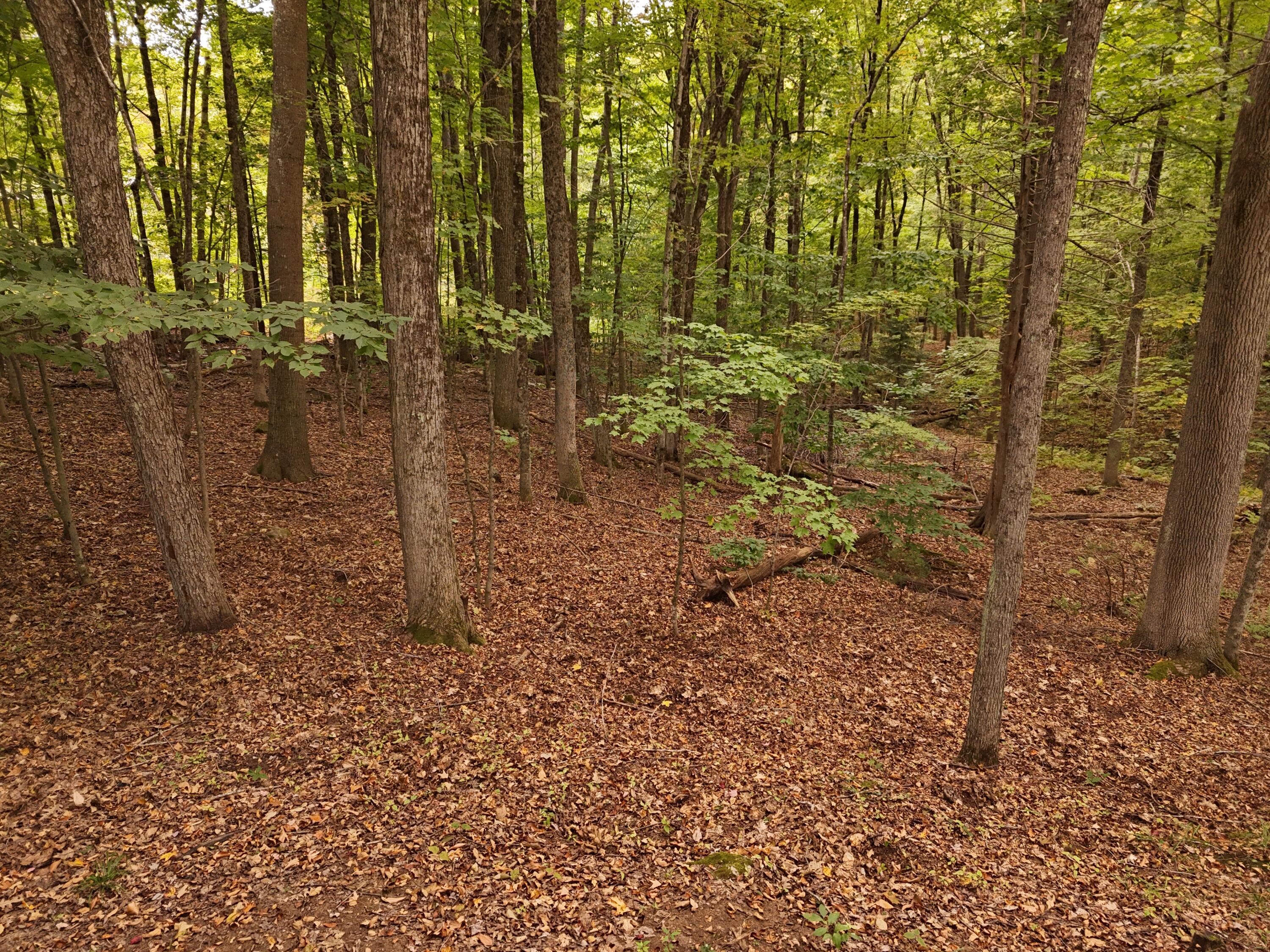 22 Community Drive Property Photo 10